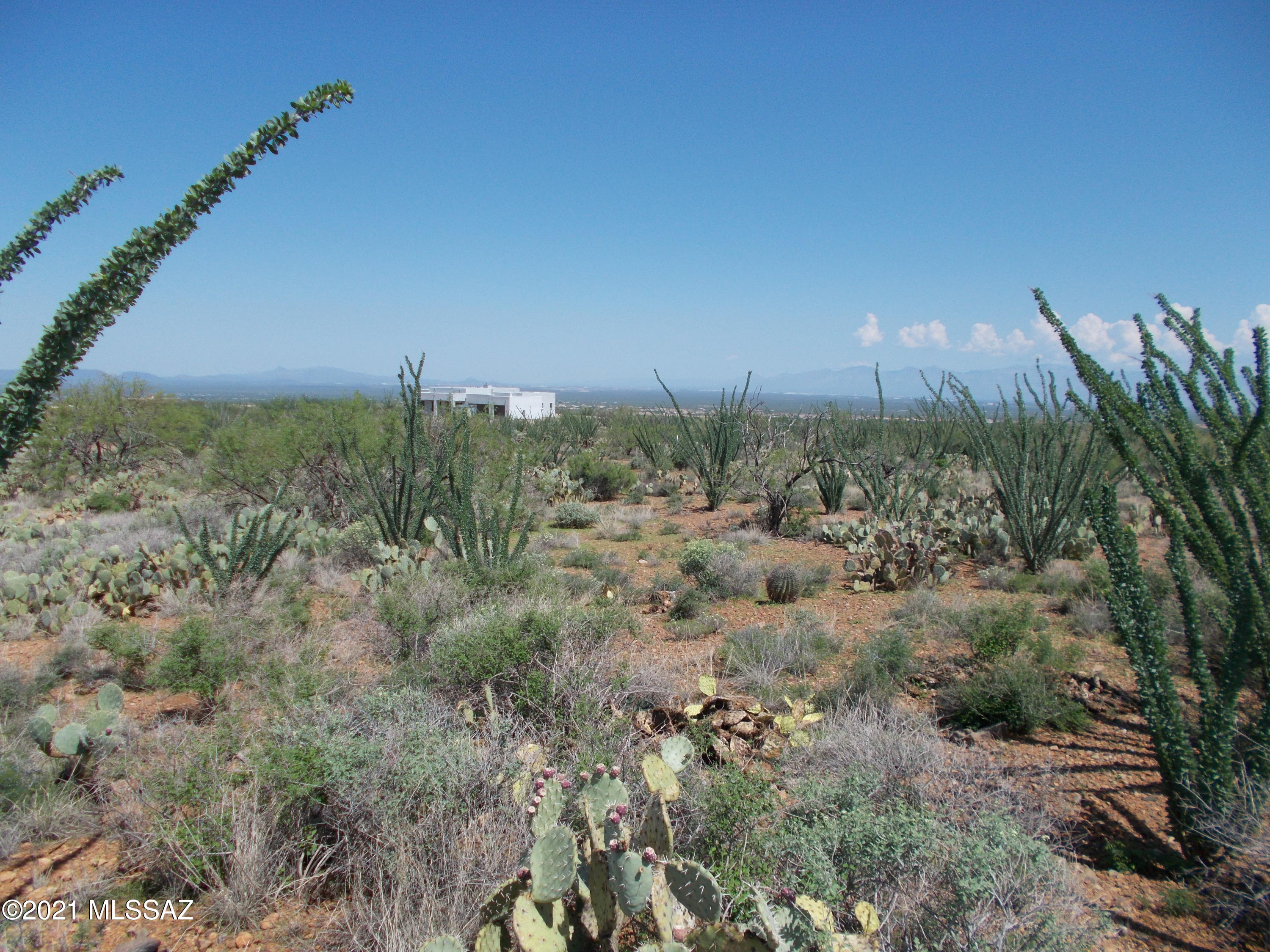 Ocotillo Preserve (1-42) - Land