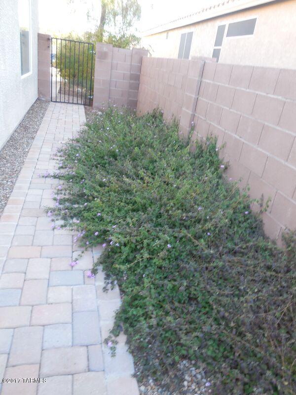 Continental Ranch Sunflower - Residential