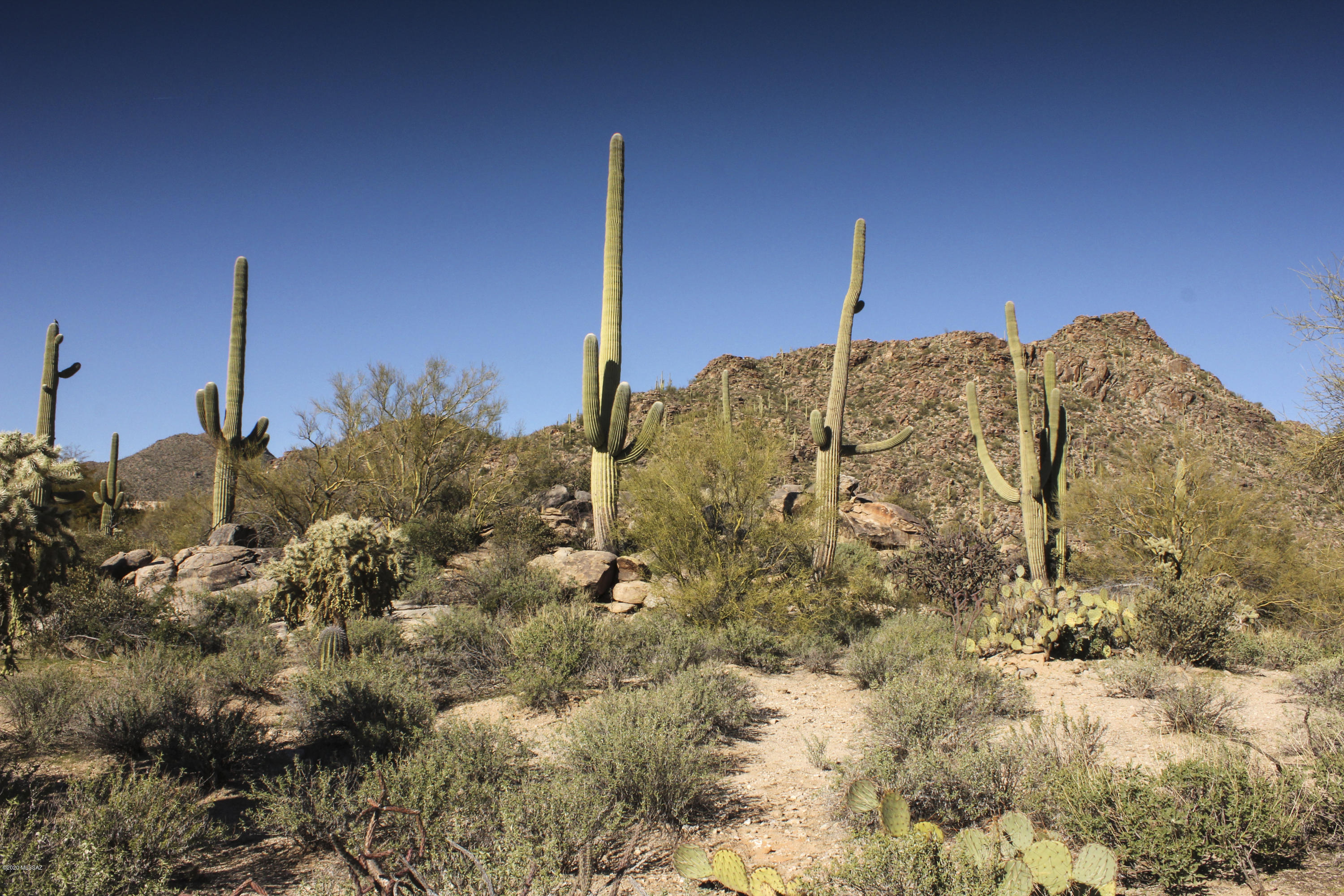 Canyon Pass IV-B At Dove Mountain - Land