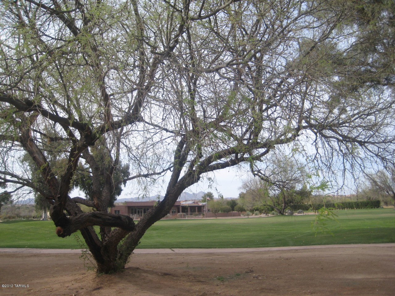 Desert Greens At Oro Valley (1-23) - Residential Lease