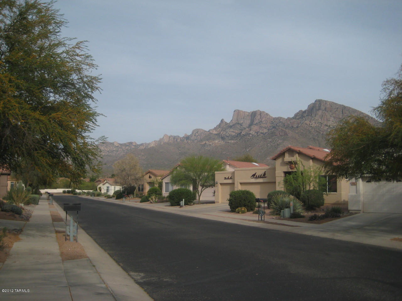 Desert Greens At Oro Valley (1-23) - Residential Lease