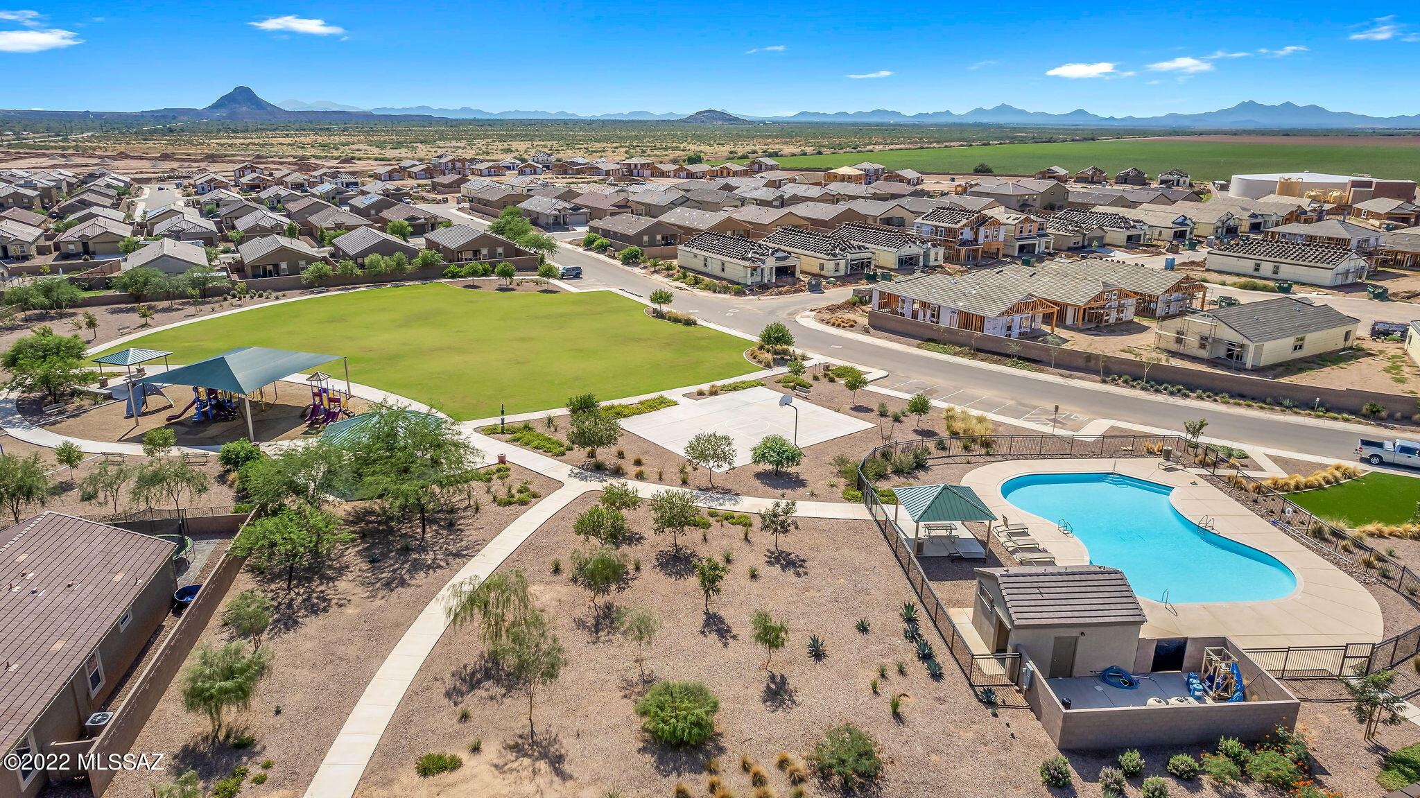 Saguaro Bloom SQ20180540069 - Residential