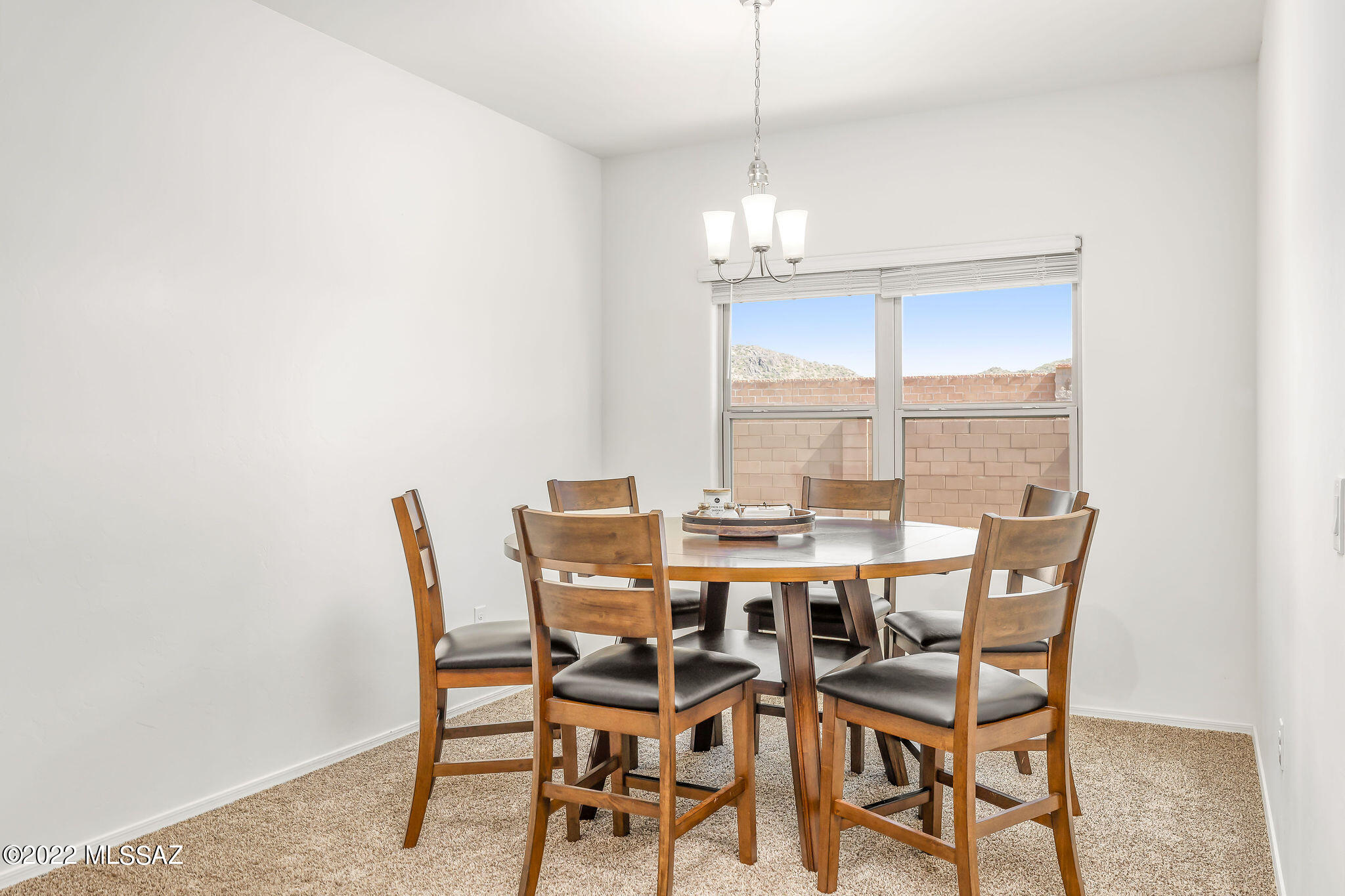 Saguaro Bloom SQ20180540069 - Residential