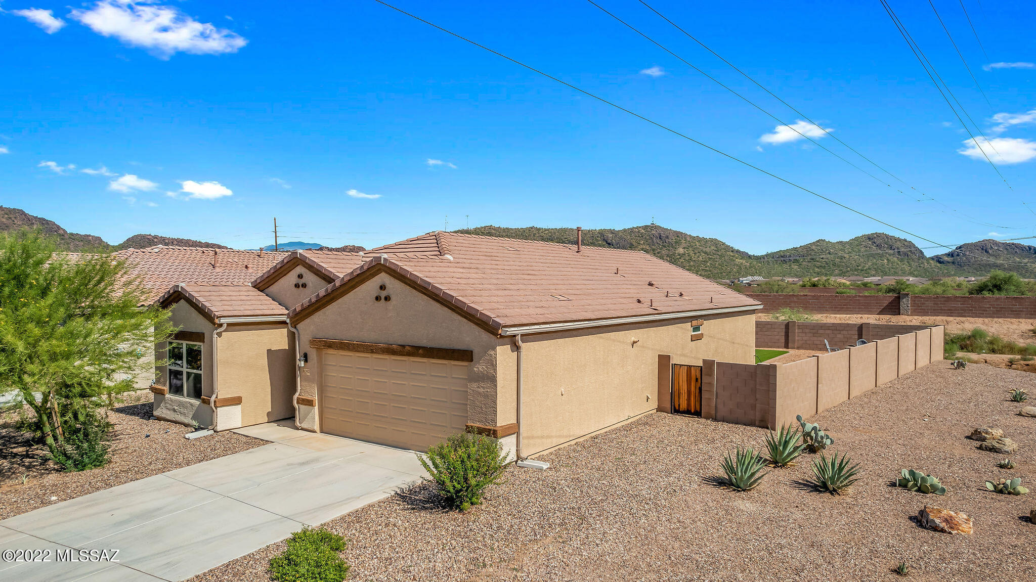 Saguaro Bloom SQ20180540069 - Residential