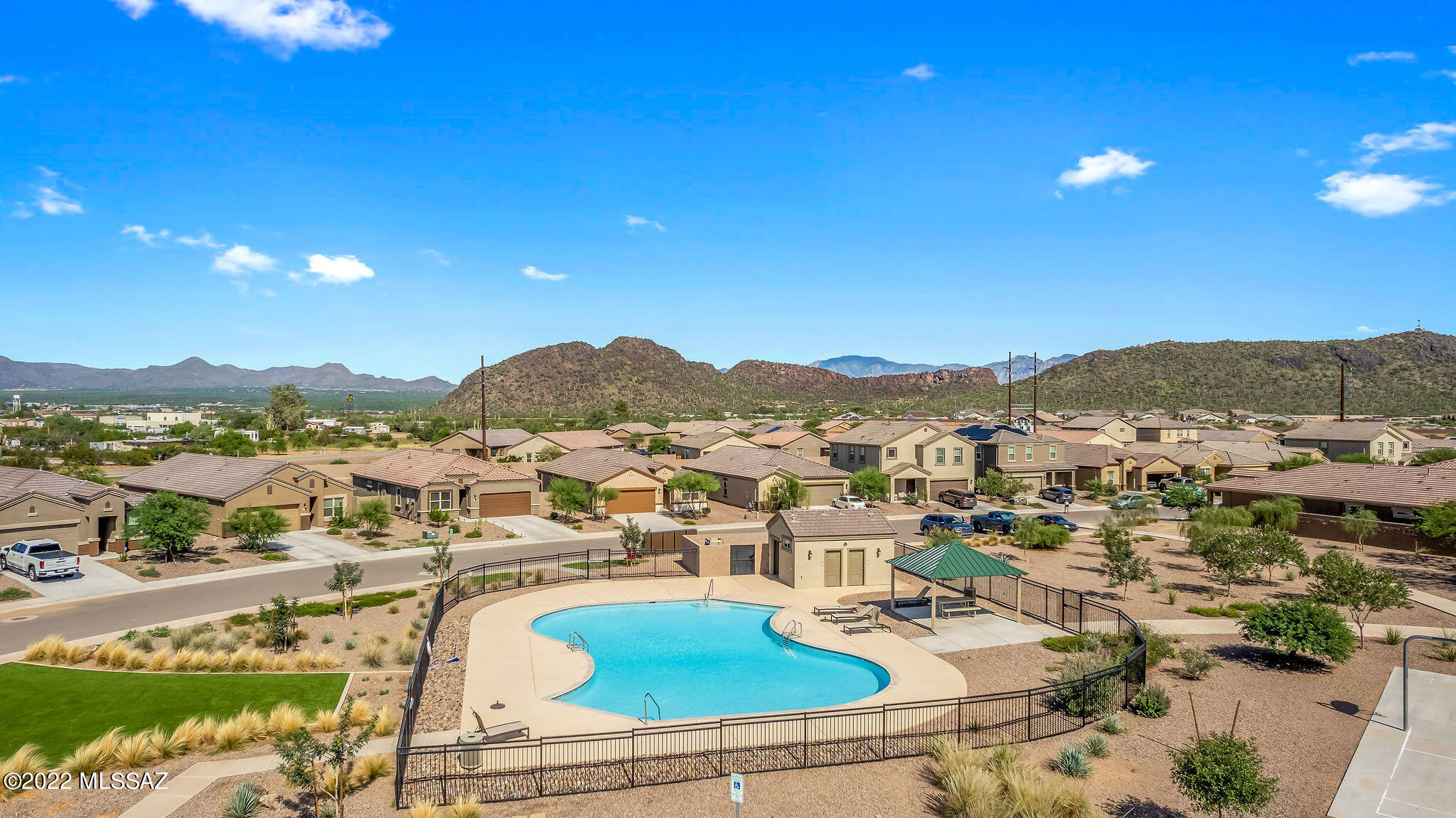 Saguaro Bloom SQ20180540069 - Residential