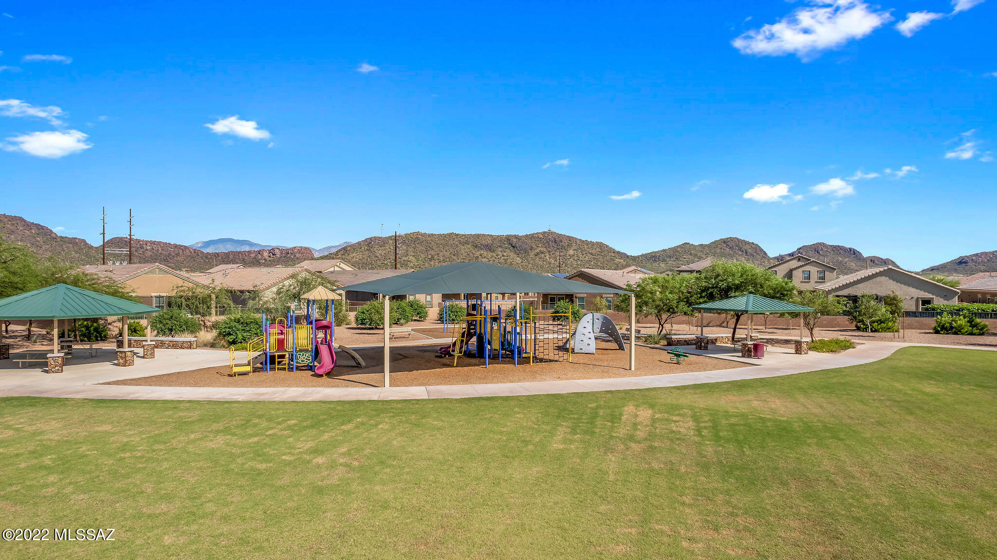 Saguaro Bloom SQ20180540069 - Residential