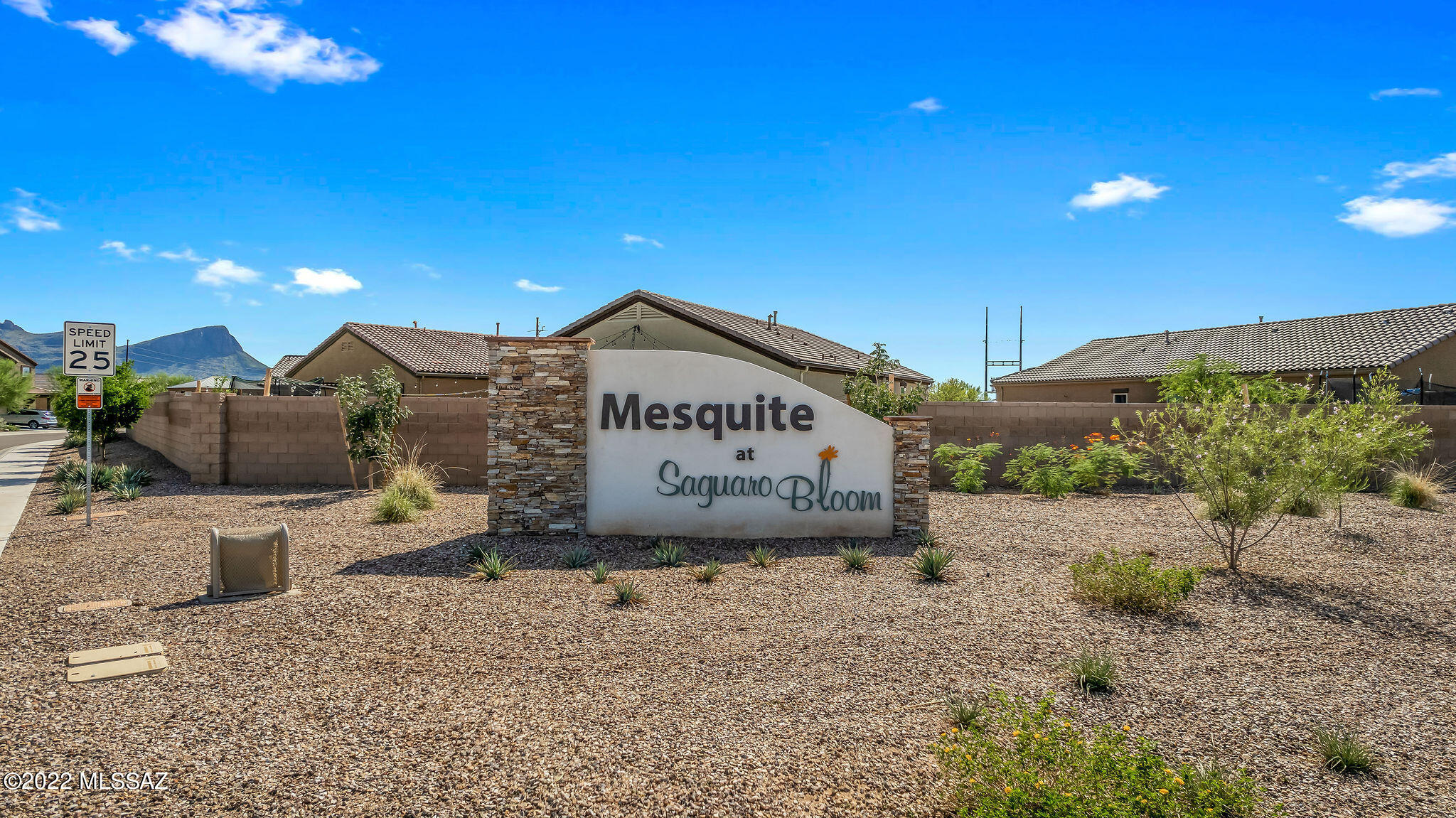 Saguaro Bloom SQ20180540069 - Residential