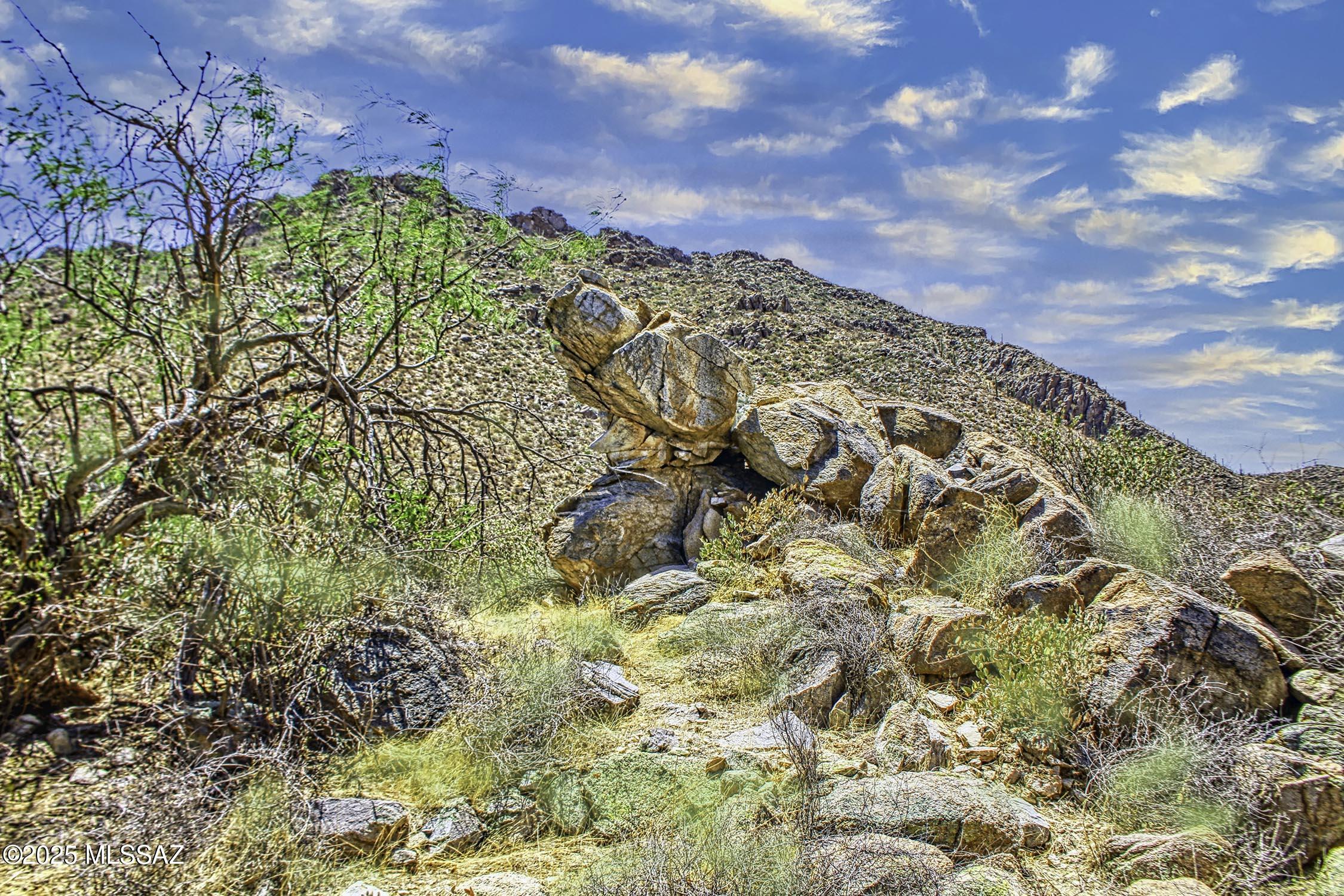 Canyon Pass III At Dove Mountain (111-181) - Land