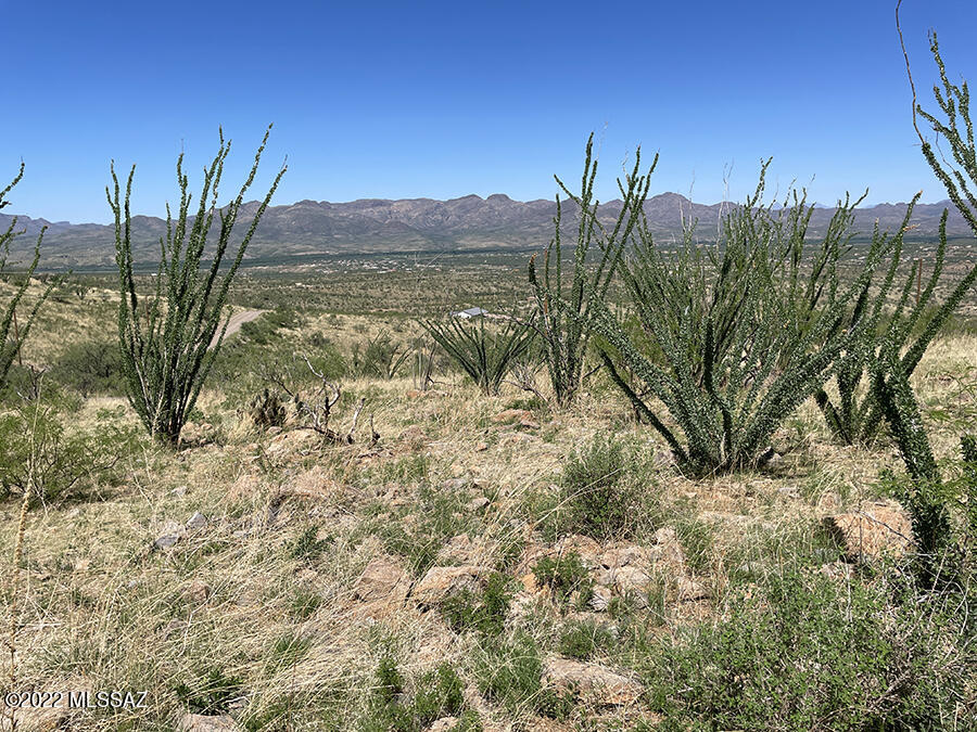 Rio Rico Ranchettes 18 - Land