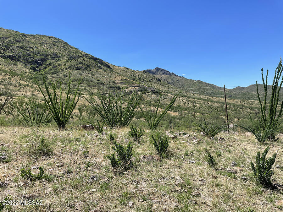Rio Rico Ranchettes 18 - Land