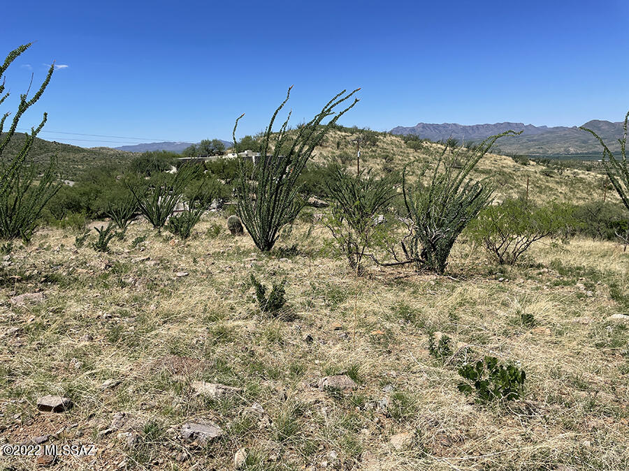 Rio Rico Ranchettes 18 - Land