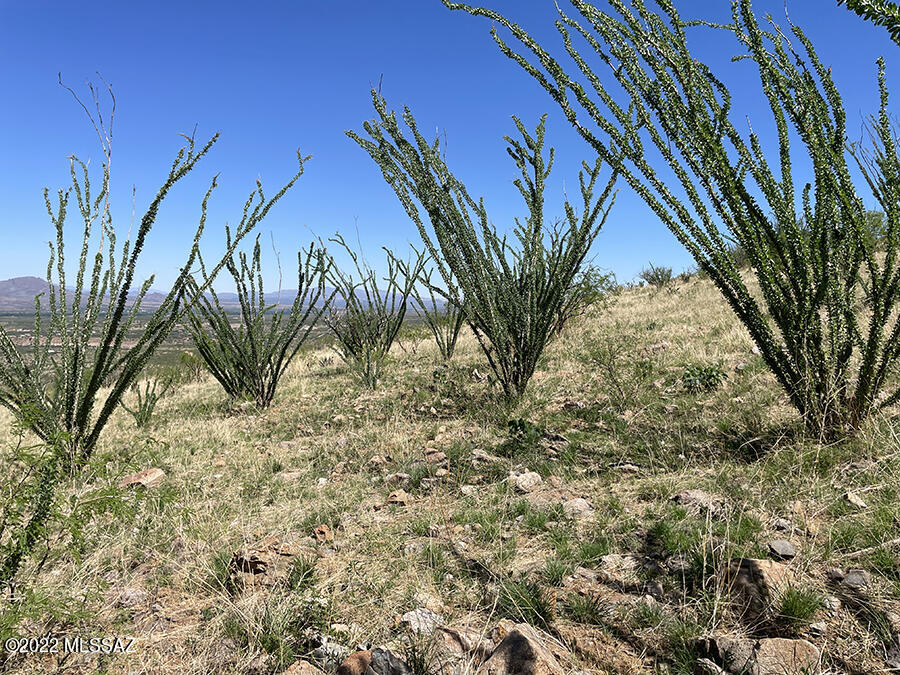 Rio Rico Ranchettes 18 - Land
