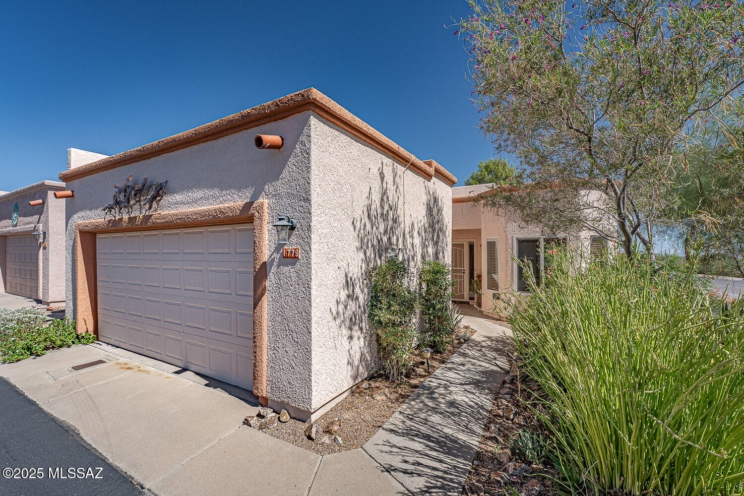 Colonia De Los Alamos - Springpointe - Residential