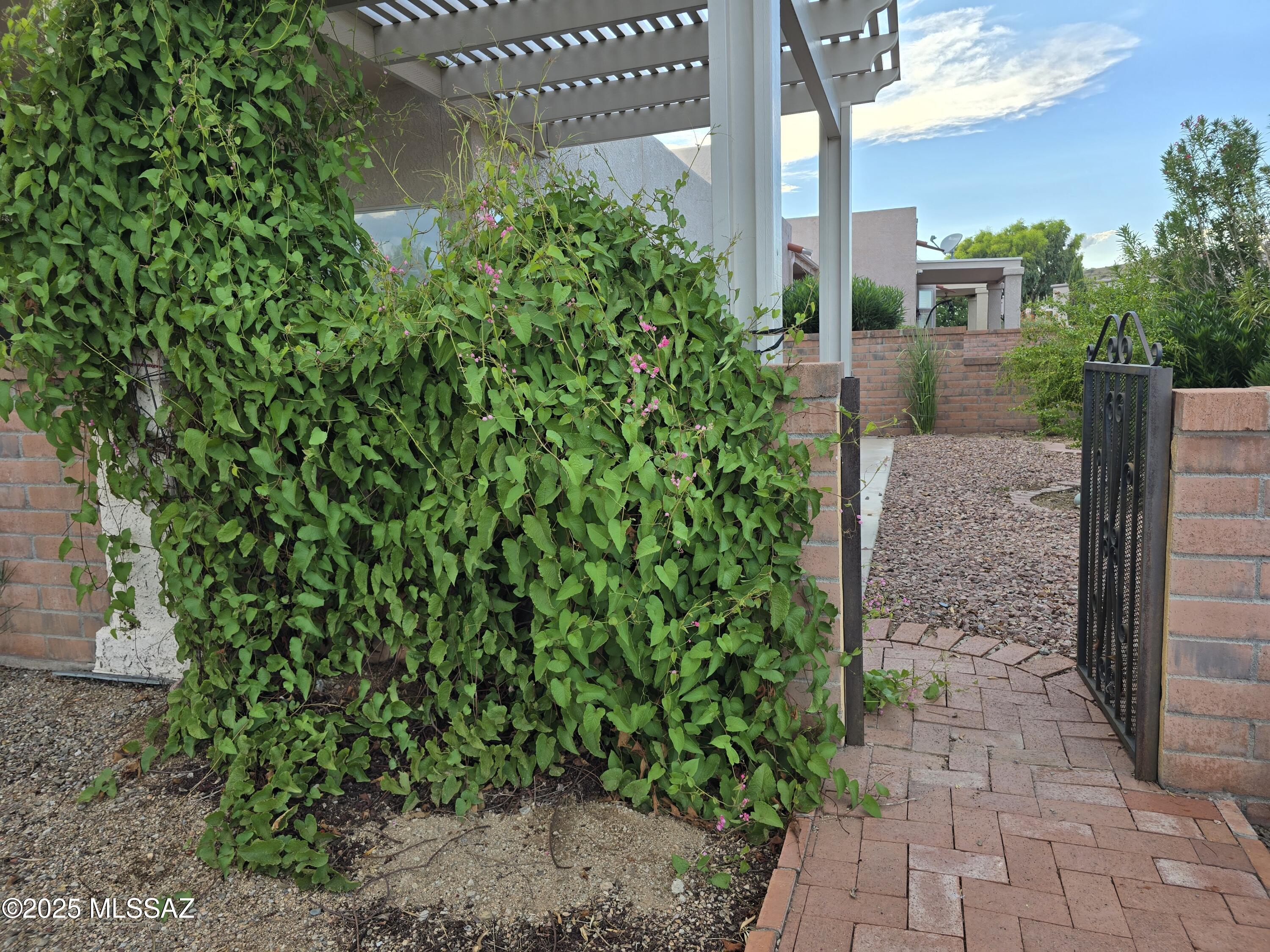 Colonia De Los Alamos - Springpointe - Residential