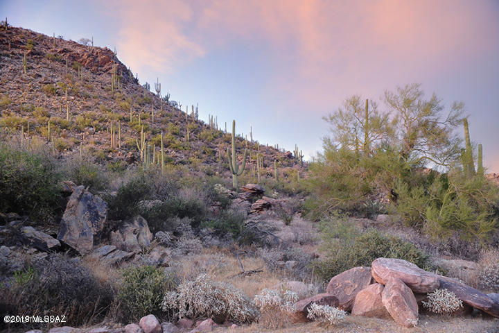 Saguaro Ranch South Amended - Land