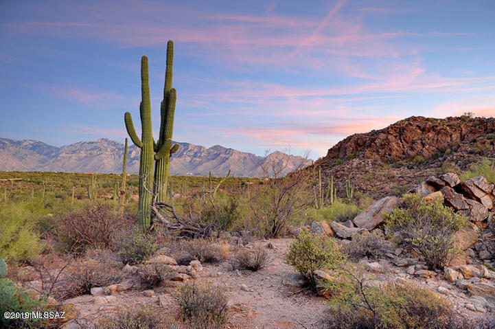 Saguaro Ranch South Amended - Land