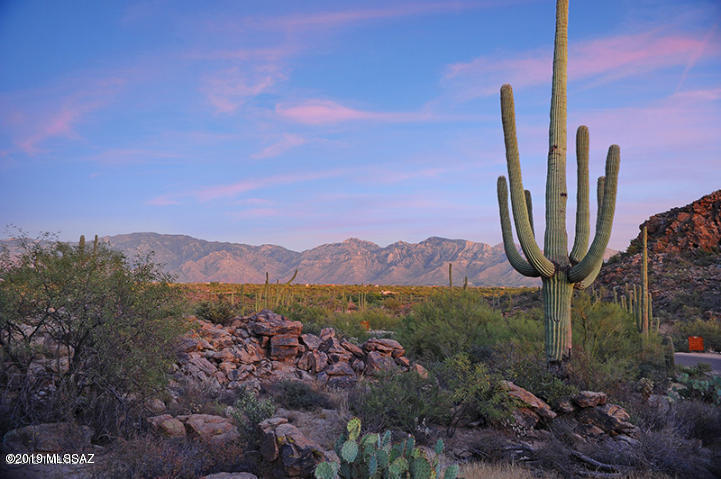 Travel through the majestic tunnel into a wonderland of the Sonoran Desert. Custom build your dream home in the exclusive guard gated '' Saguaro Ranch'', with award winning builderThe McHallam Company. This is one of the most prestigious lots in all of Saguaro Ranch.This homesite has both privacy and spectacular Catalina Mountain views. This site will require a minimum of site preparations and a relatively short driveway. Surrounded by granite cove and saguaro cactus,you will not want to miss this one! Close to five star Ritz Carlton Resort and Spa, golf, hiking, biking trails, restaurants and much more! See Video for an over view of the subdivision and Lot. Ariel map out line is approximate outline.