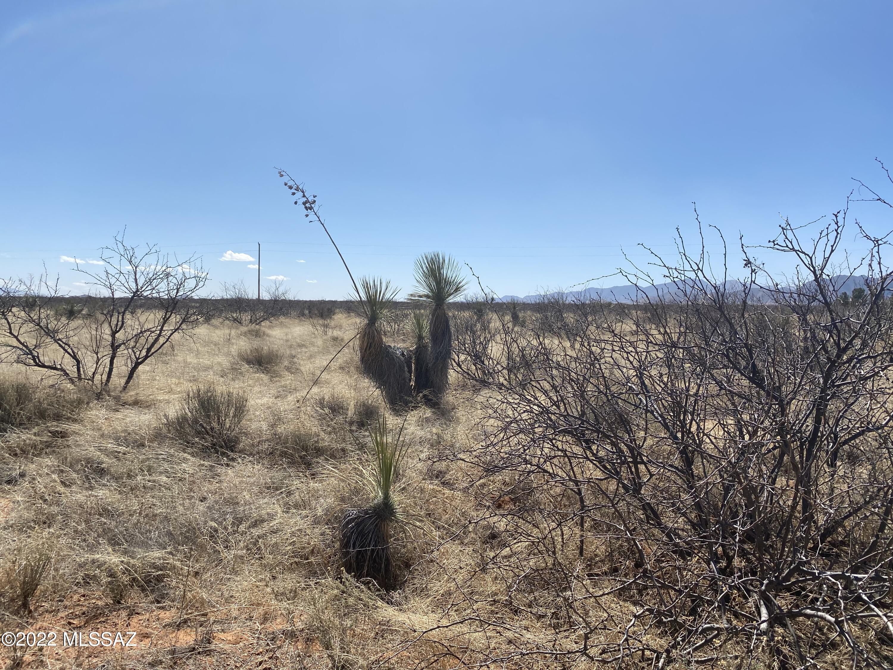 Arizona Sun Sites - Land