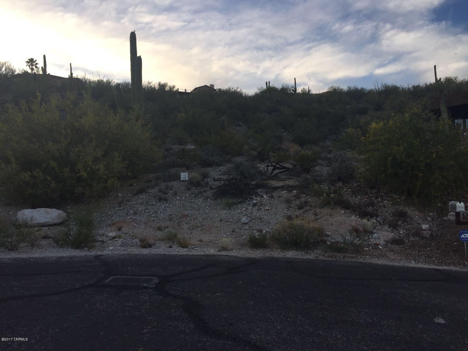 Rio Verde Vista III - Land