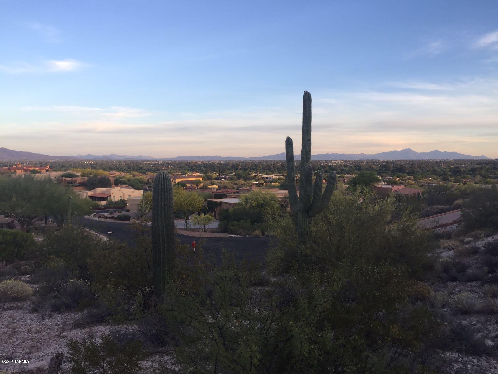 Rio Verde Vista III - Land