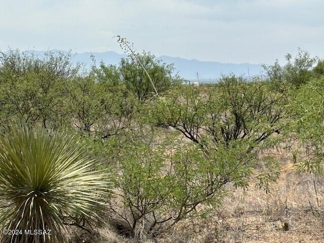 Arizona Sun Sites - Land