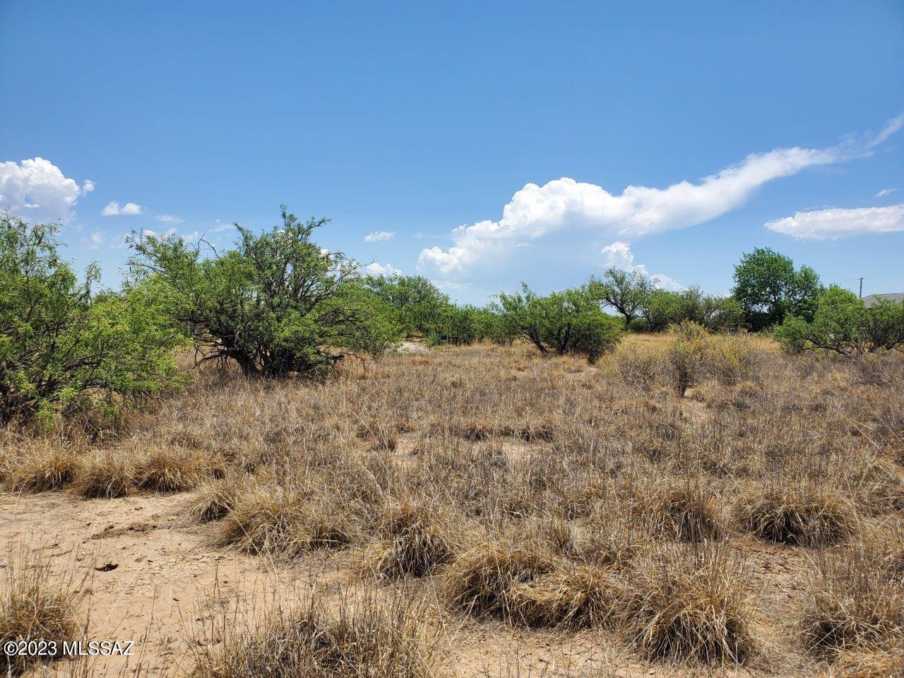 Other/Unknown - Land
