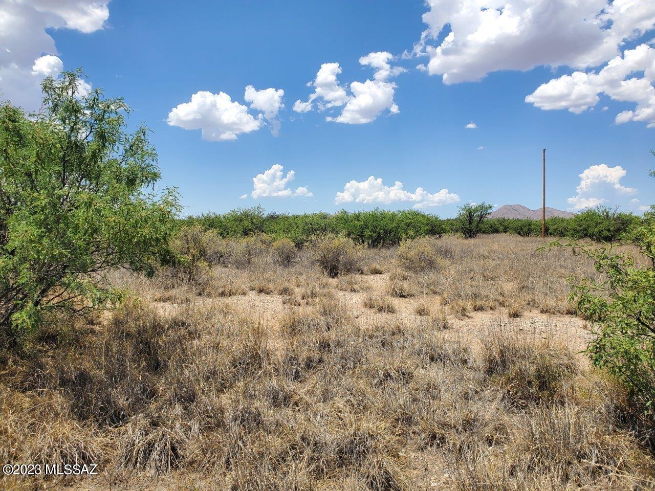 Great opportunity to build your site built home or set up your mobile or manufactured home in La Playa Estates 1 on N Calle California, Cochise, AZ 85606. There are two adjoining 16,108 Sq Ft lots equaling 32,216 Sq Ft sold together so you can live on one and rent one for monthly income or build one home with plenty of area for your guest house and outbuildings, you can use your imagination. Power available, drill well or haul water and septic is required. The property is not in a flood zone and located in a peaceful area, allowing you to enjoy the tranquility of the surroundings and mountain views. Owner/Agent