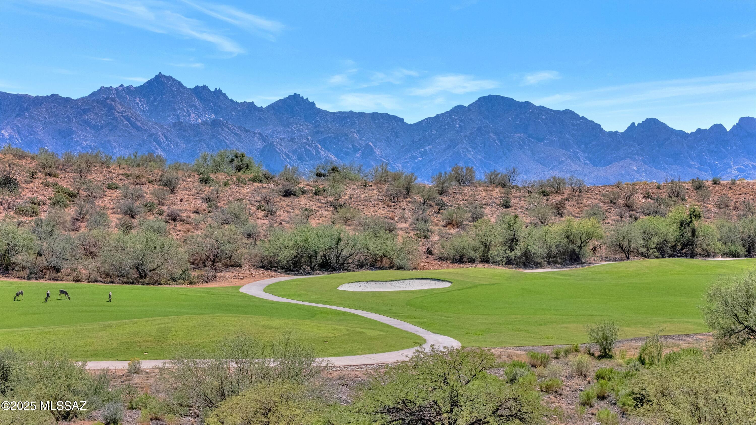 Saddlebrooke - Residential