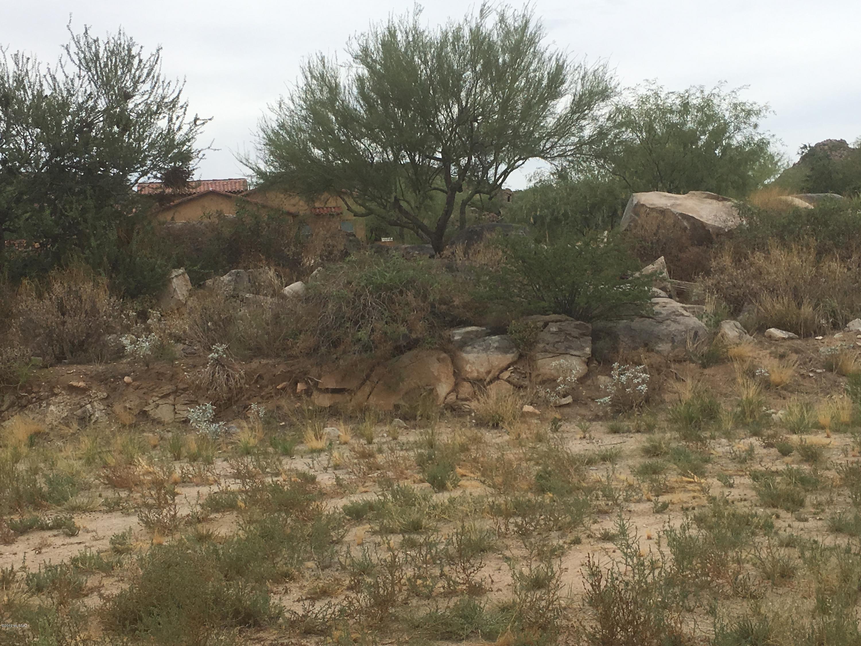 The Enclave At Stone Canyon V - Land