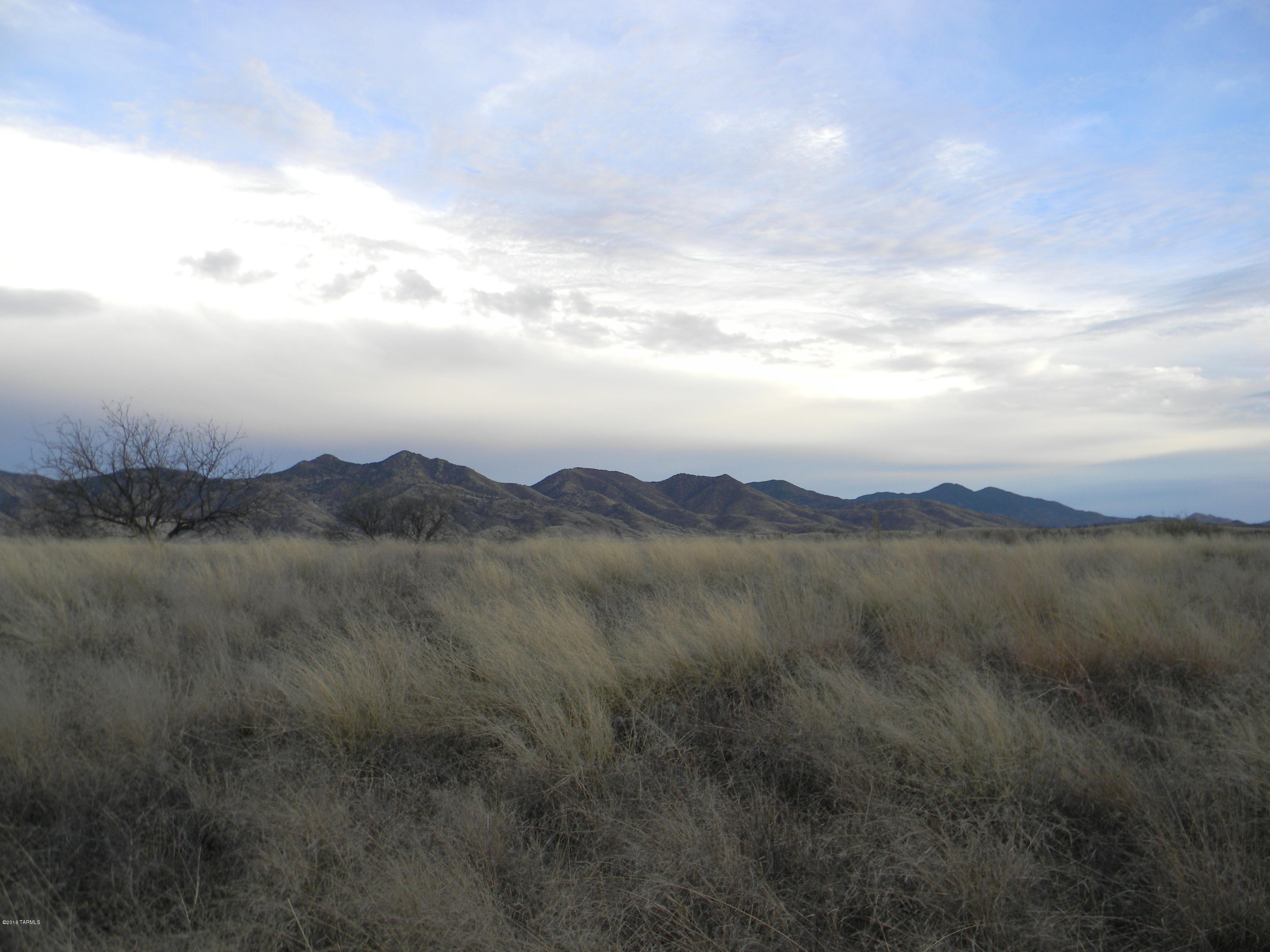 AT $27,500 THIS IS ONE OF THE BEST AND PRICED BELOW THE REST! This lot borders Circle Z property and is right off the paved road and close to State Rd 82. Flat and buildable in several lovely spots, electricity and phone at the lot line. Septic and well is required. Gorgeous mountain views, natural habitat and abundant wildlife to enjoy all year long. Enjoy boating, biking, birding, cycling at the nearby Lake  while only minutes from Patagonia for or Nogales for shopping and restaurants. Tucson is about 75 minutes away for air travel and urban experiences.