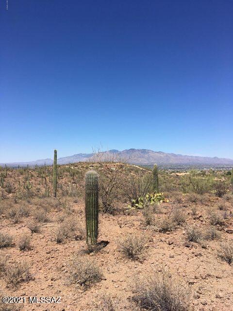 Other/Unknown - Land