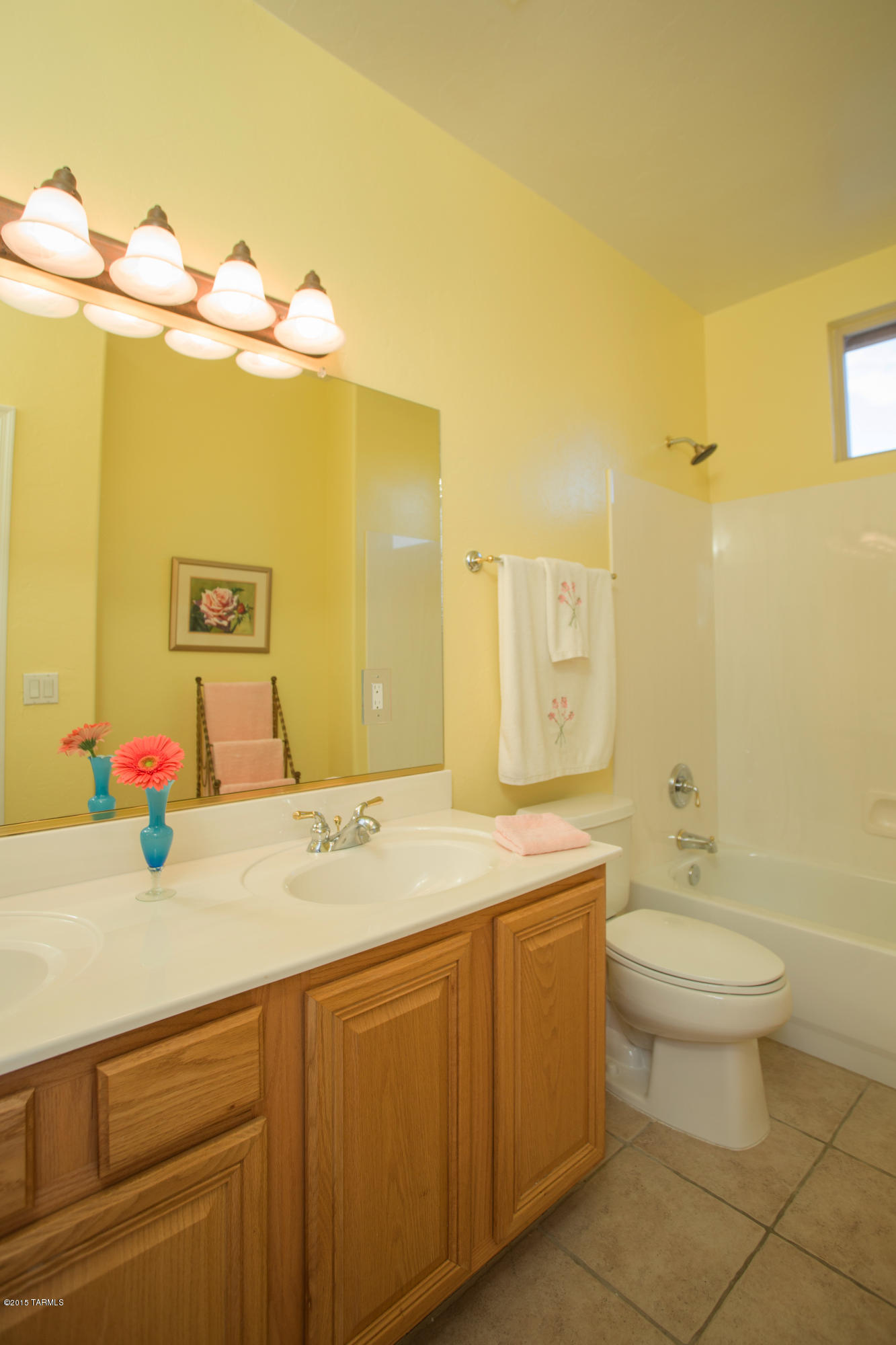 Sabino Mountain (1-290) - Residential