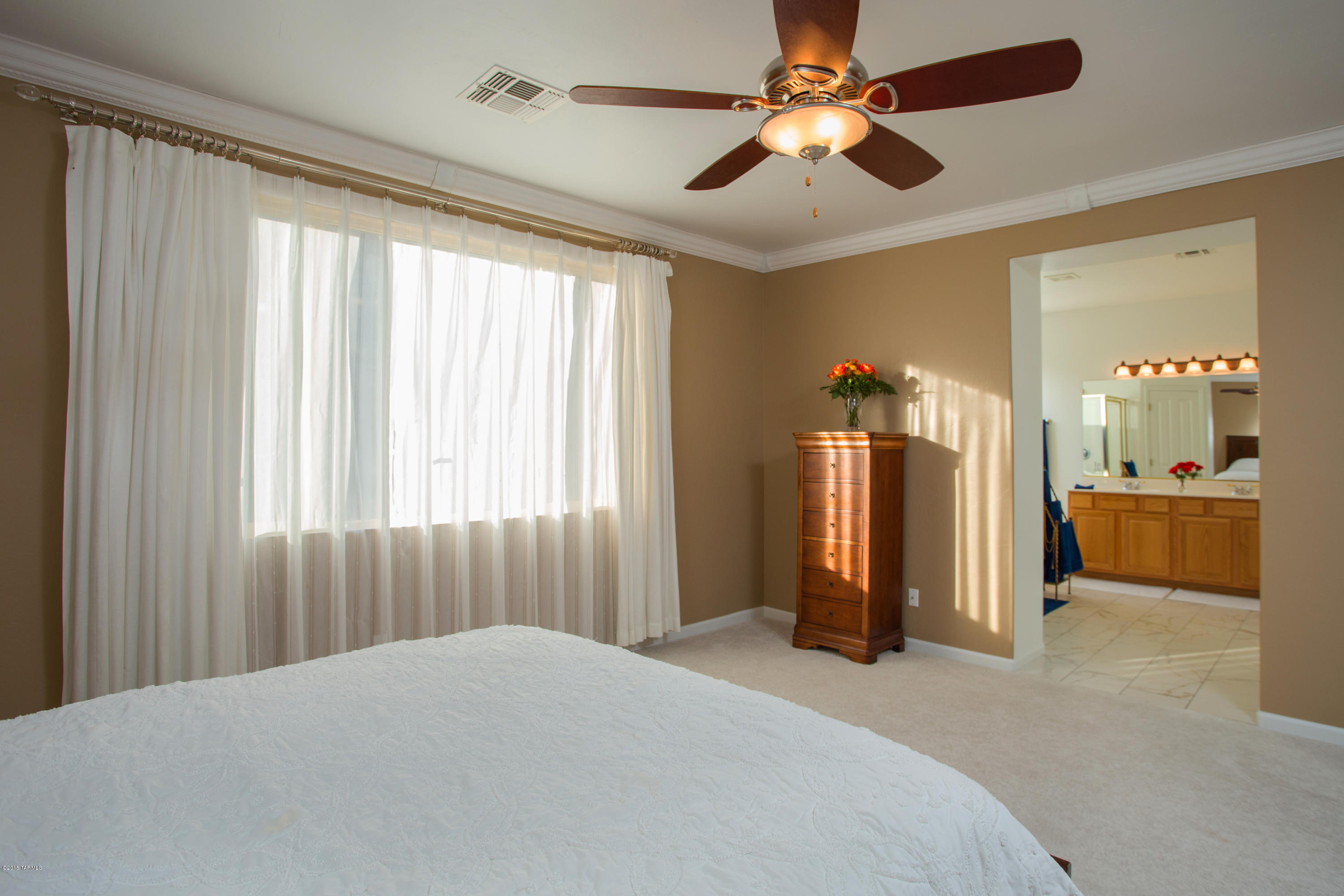 Sabino Mountain (1-290) - Residential