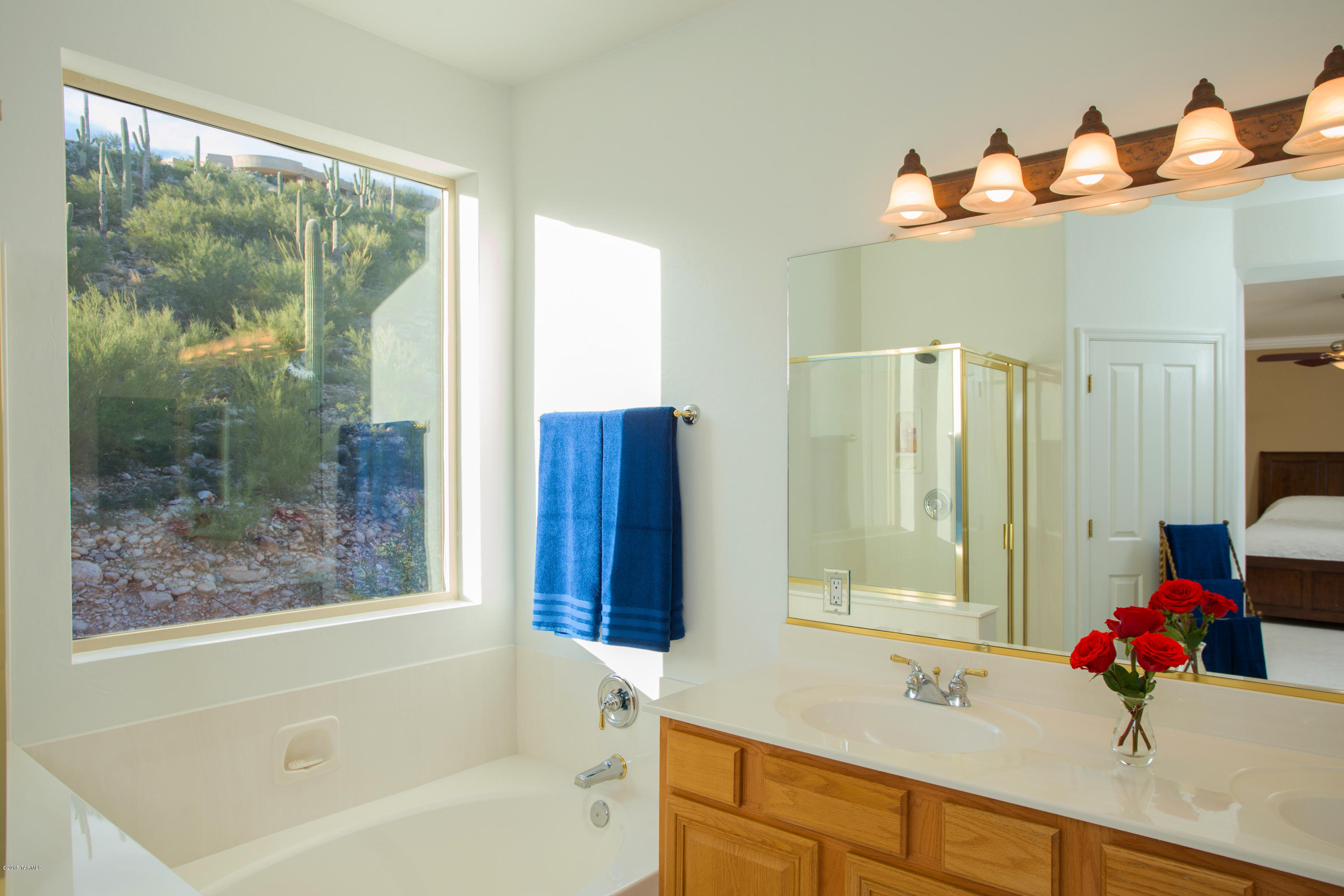 Sabino Mountain (1-290) - Residential
