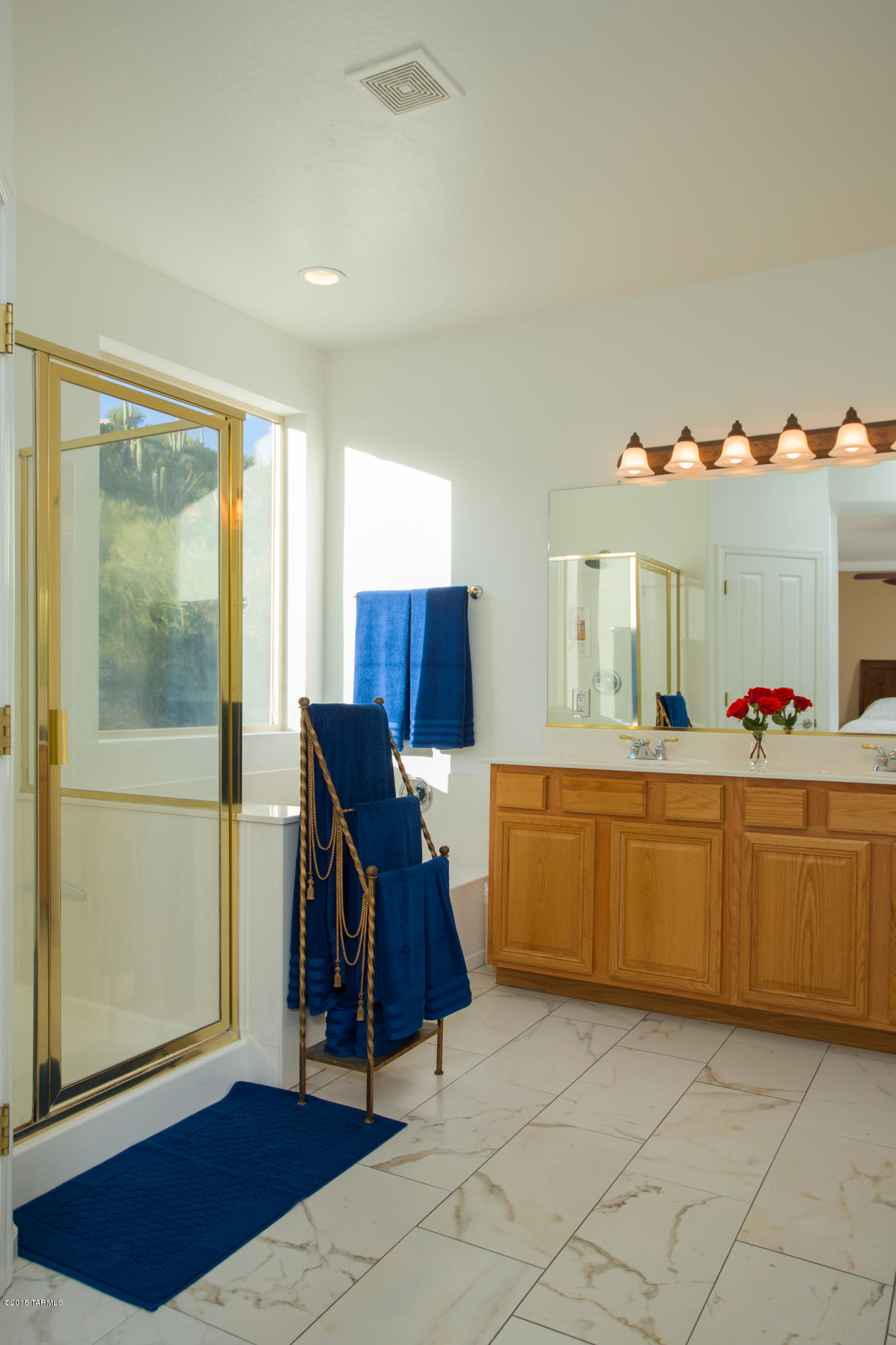 Sabino Mountain (1-290) - Residential