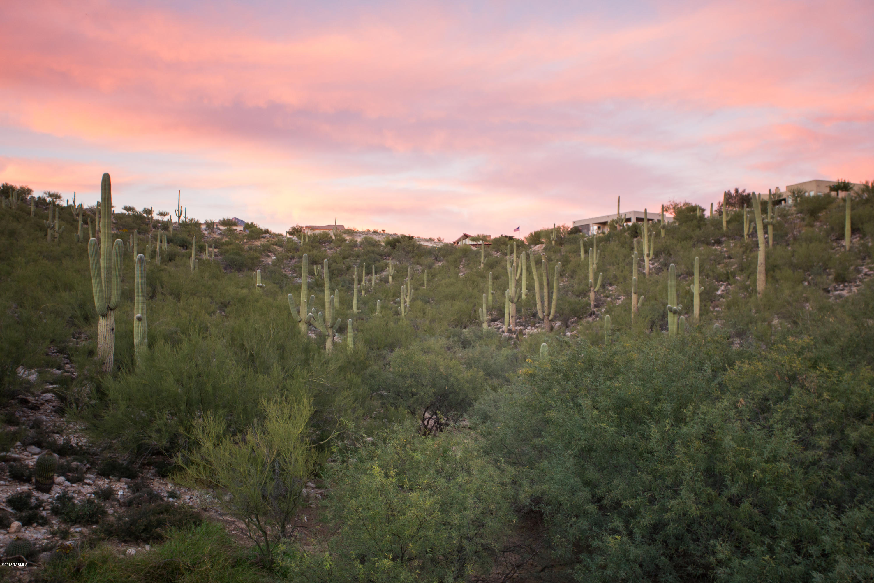 Sabino Mountain (1-290) - Residential