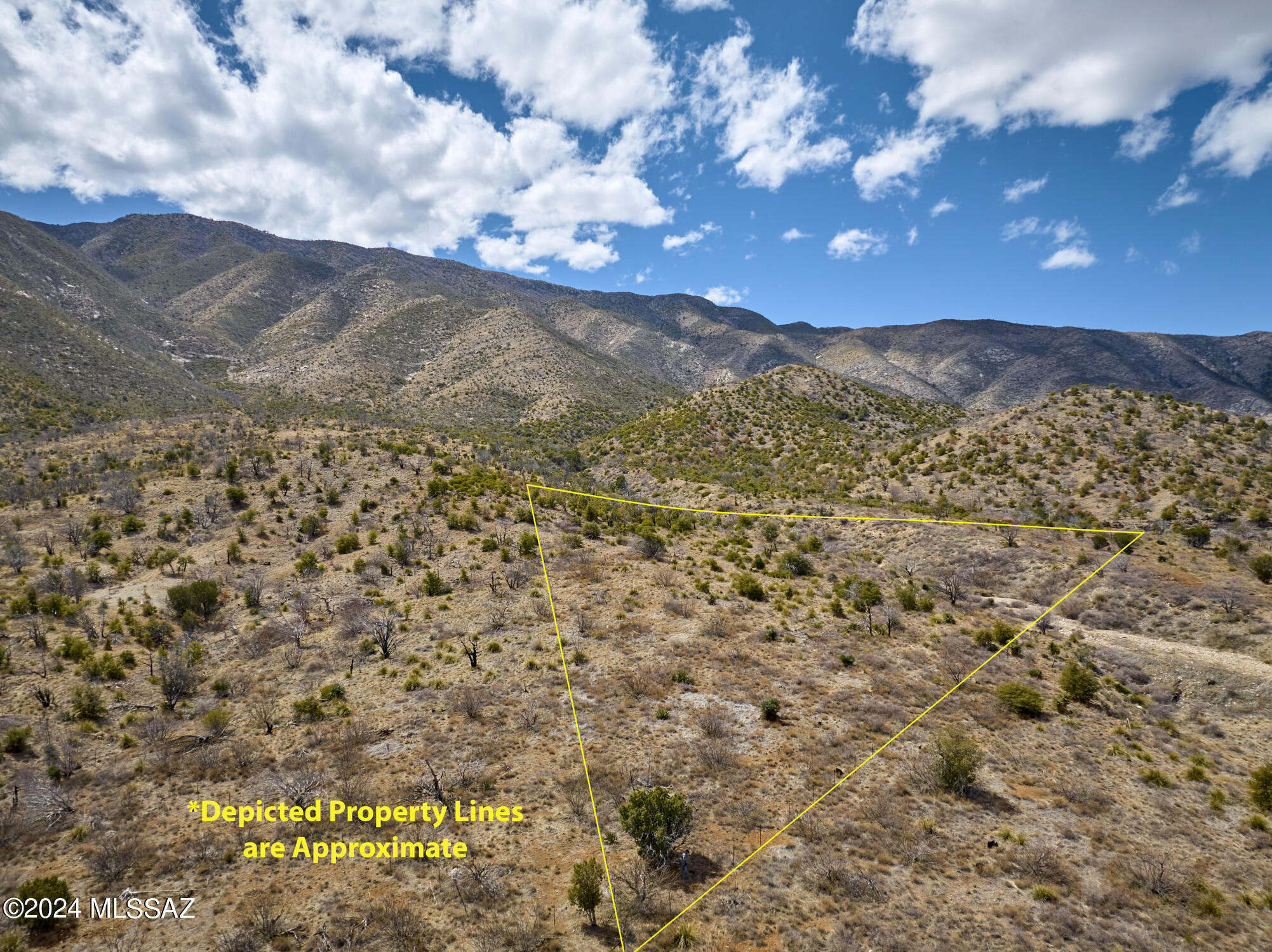 Build Your Dream Retreat in Whitetail Canyon! Escape to the breathtaking beauty of Whitetail Canyon with this remarkable 4.12-acre parcel of land, offering a prime opportunity to create your own slice of paradise in the foothills of the Chiricahua Mountains.  Want more land?  Adjacent 4.18 acre parcel for sale as well.  Located just 15 miles from the Cave Creek Canyon Visitors Center, this property puts hiking, birding and stargazing within reach. Imagine waking up to panoramic views of the surrounding mountains, with endless possibilities for crafting your ideal retreat. Whether you envision a cozy cabin or a sprawling estate boasting sweeping vistas, this parcel provides a blank canvas for turning your dreams into reality.
