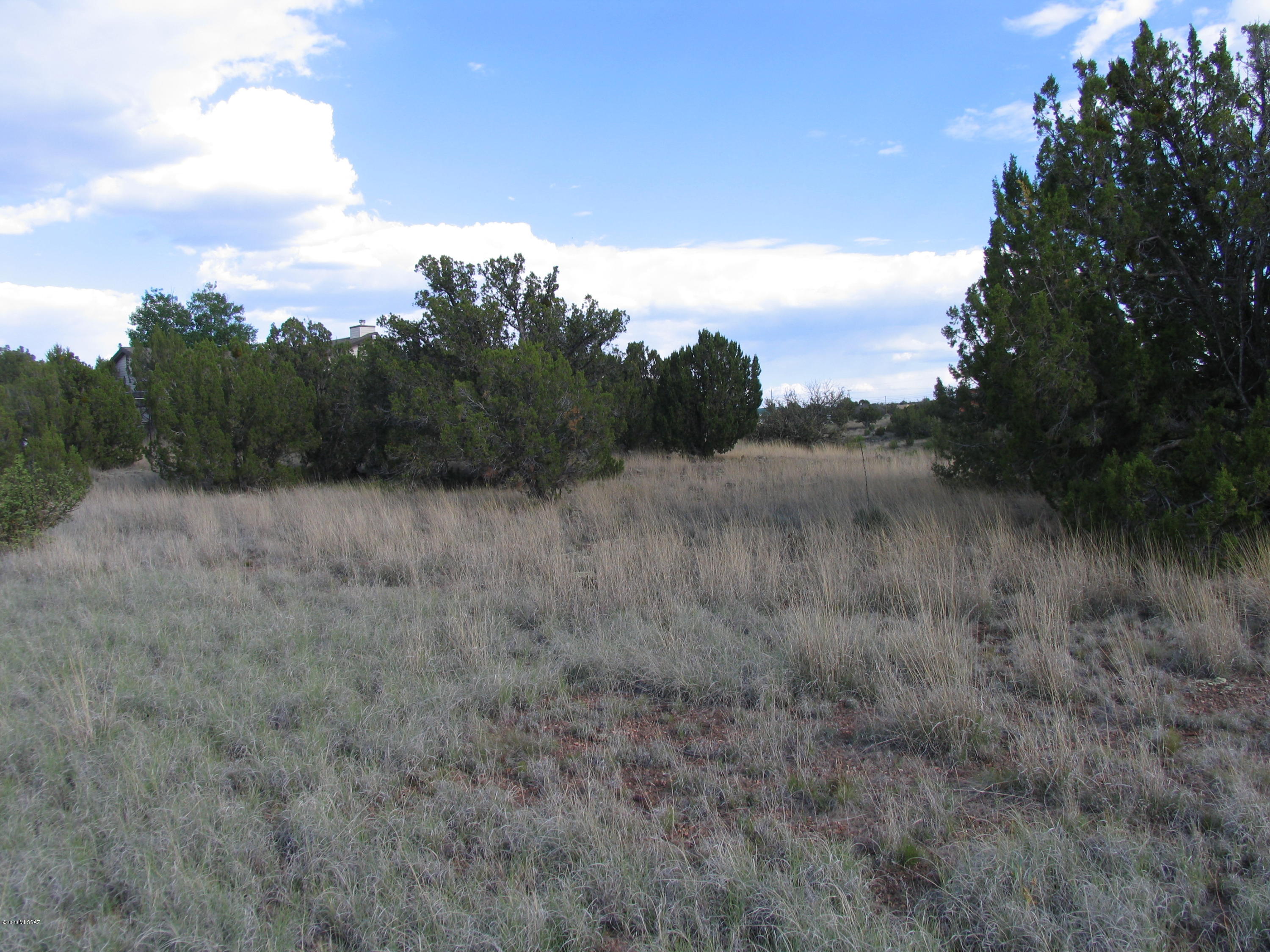 Out Of Pima County - Land