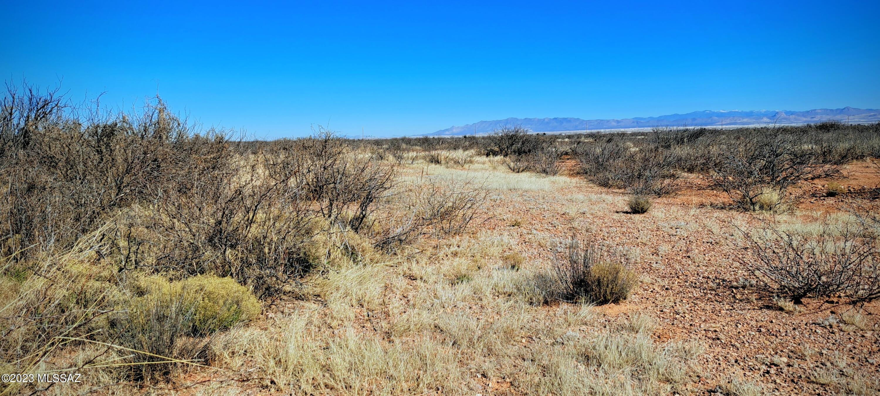 HURRY!! 4.44 acres just minutes from shopping in Douglas AZ or a short drive to historic Bisbee and Tombstone. This is your chance to own a piece of the Arizona Dream. Build your dream house where you can watch the incredible sunrise and sunsets. This is a rare chance to buy 4.44 acres in this area. Flat buildable land. Seller is willing to seller Finance for up to 3 years. Don't wait this won't last long. Buyer to verify all details.