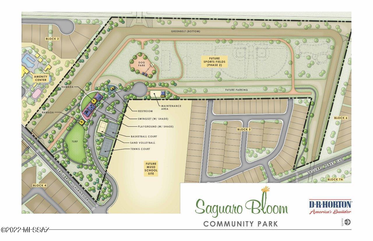 Saguaro Bloom 7A - Residential