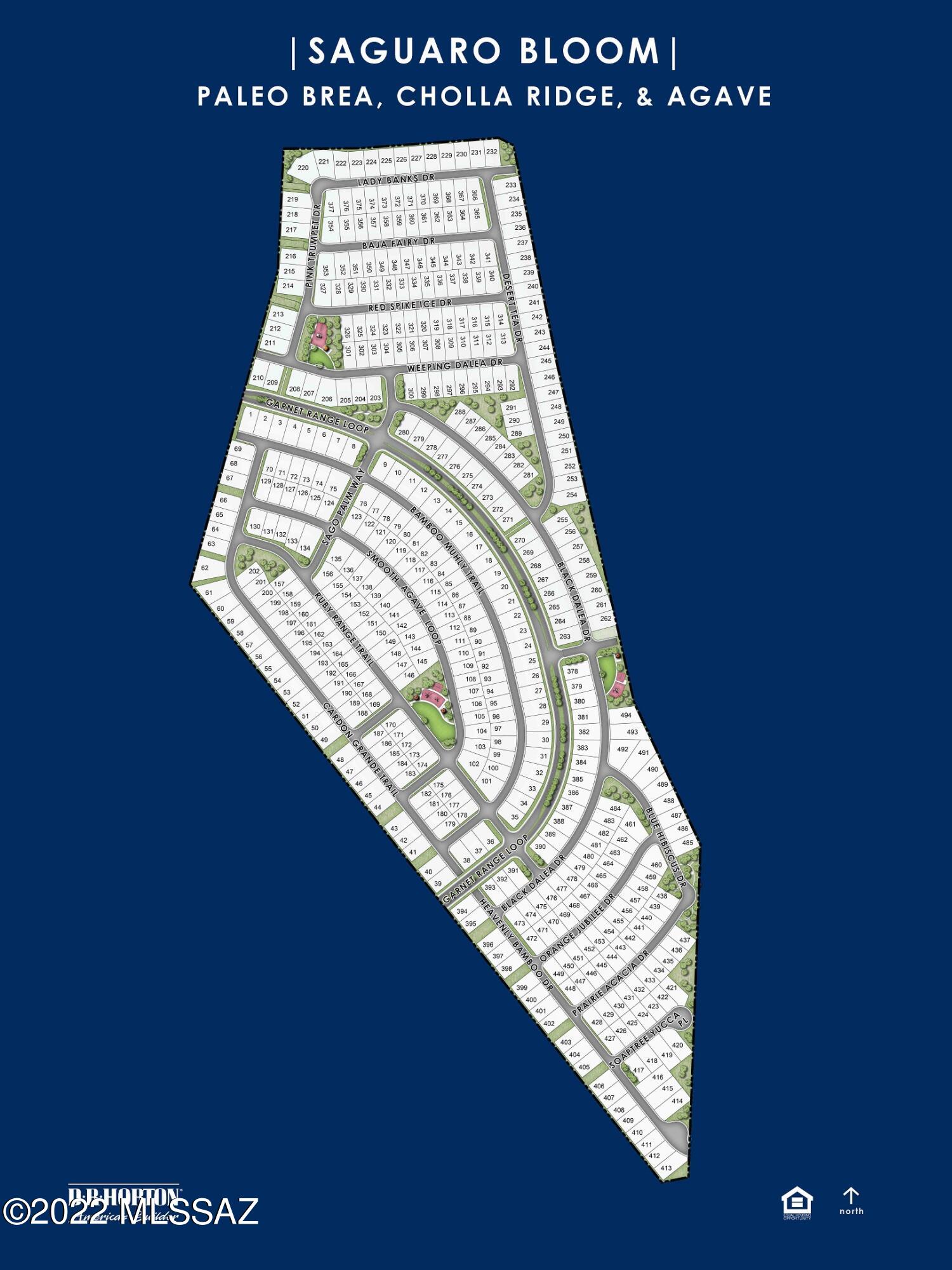 Saguaro Bloom 7A - Residential