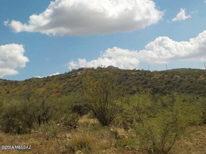 Rio Rico Ranchettes 17 - Land