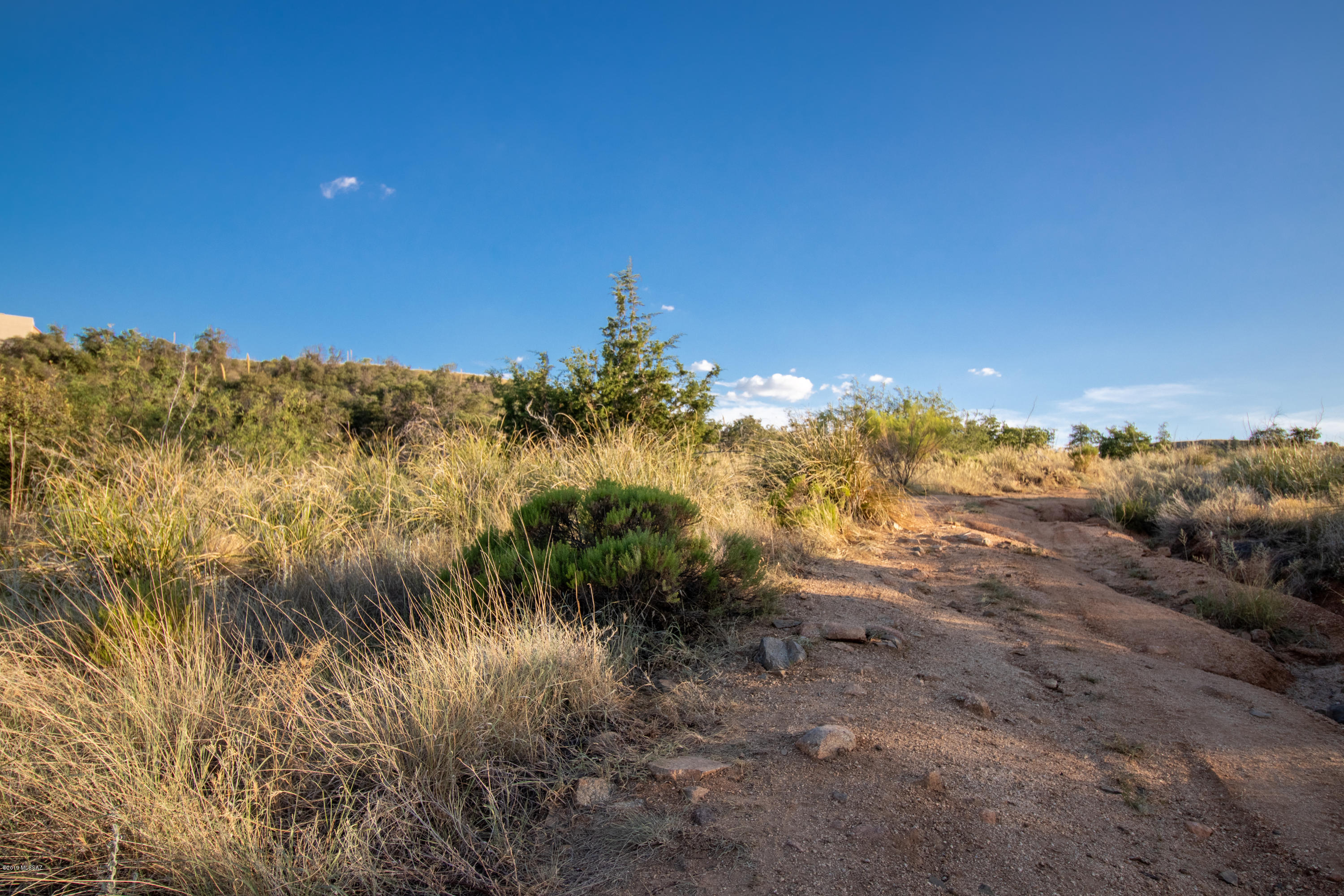 Wonderful large lot in beautiful Oracle - elevation 4500 feet.  Amazing views to build your dream home off of paved road.  Utilties at the lot line.  Priced to sell.