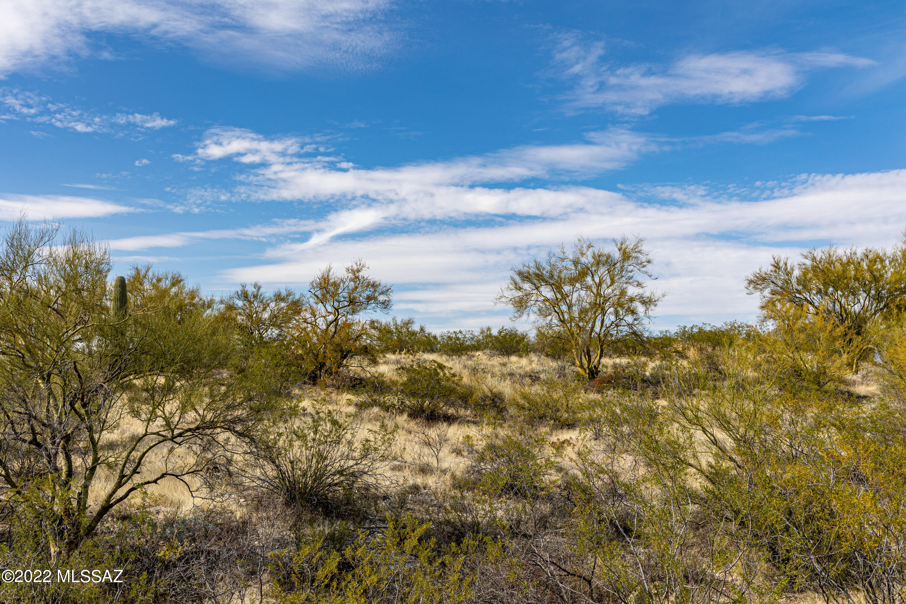 Saguaro Monument Estates - Land