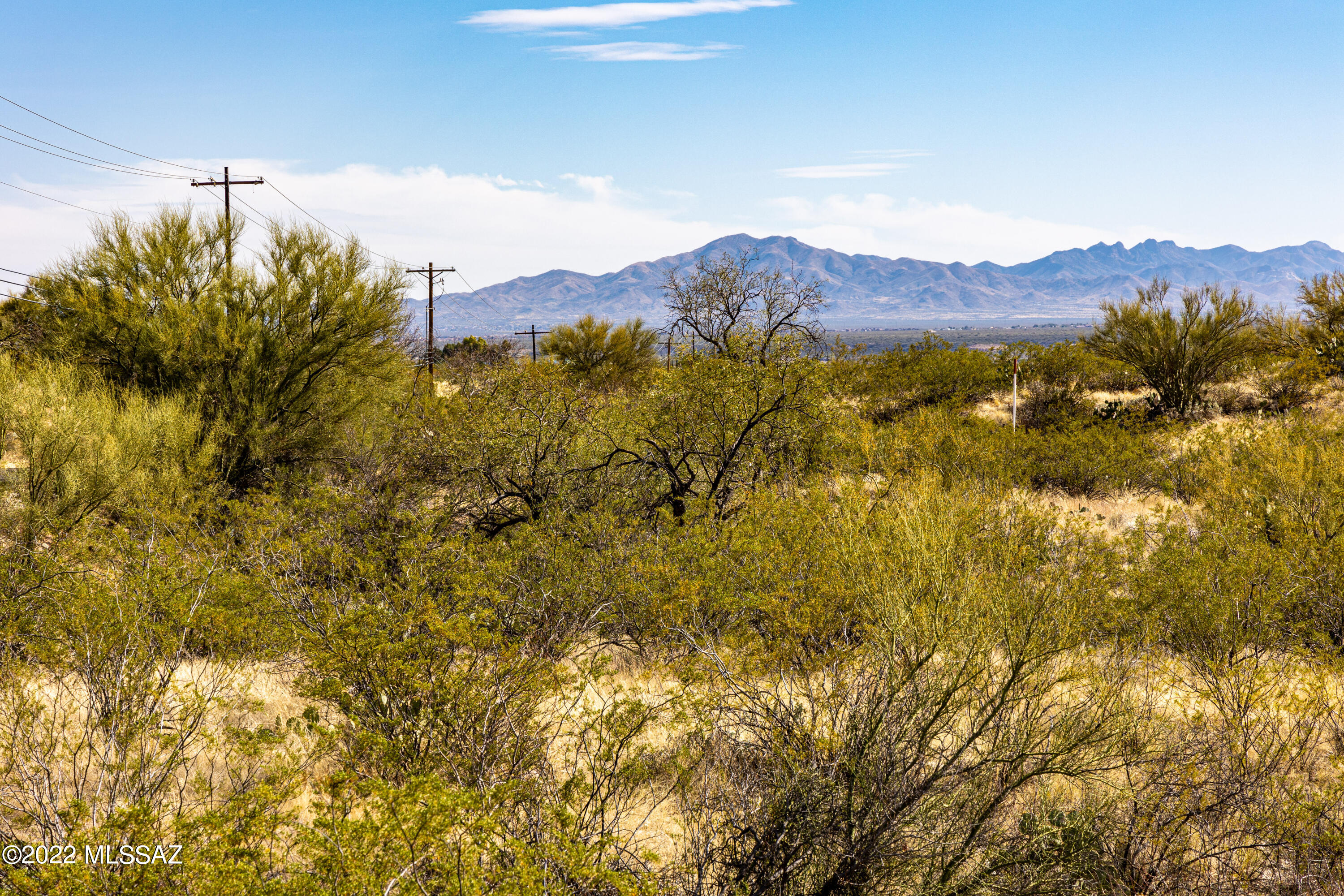 Saguaro Monument Estates - Land