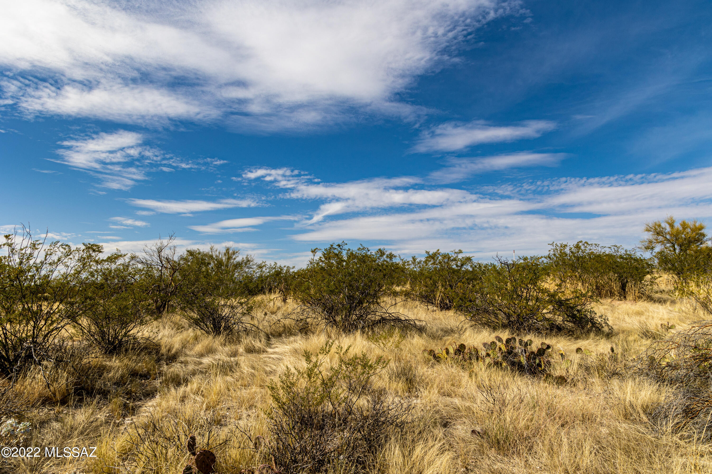 Saguaro Monument Estates - Land