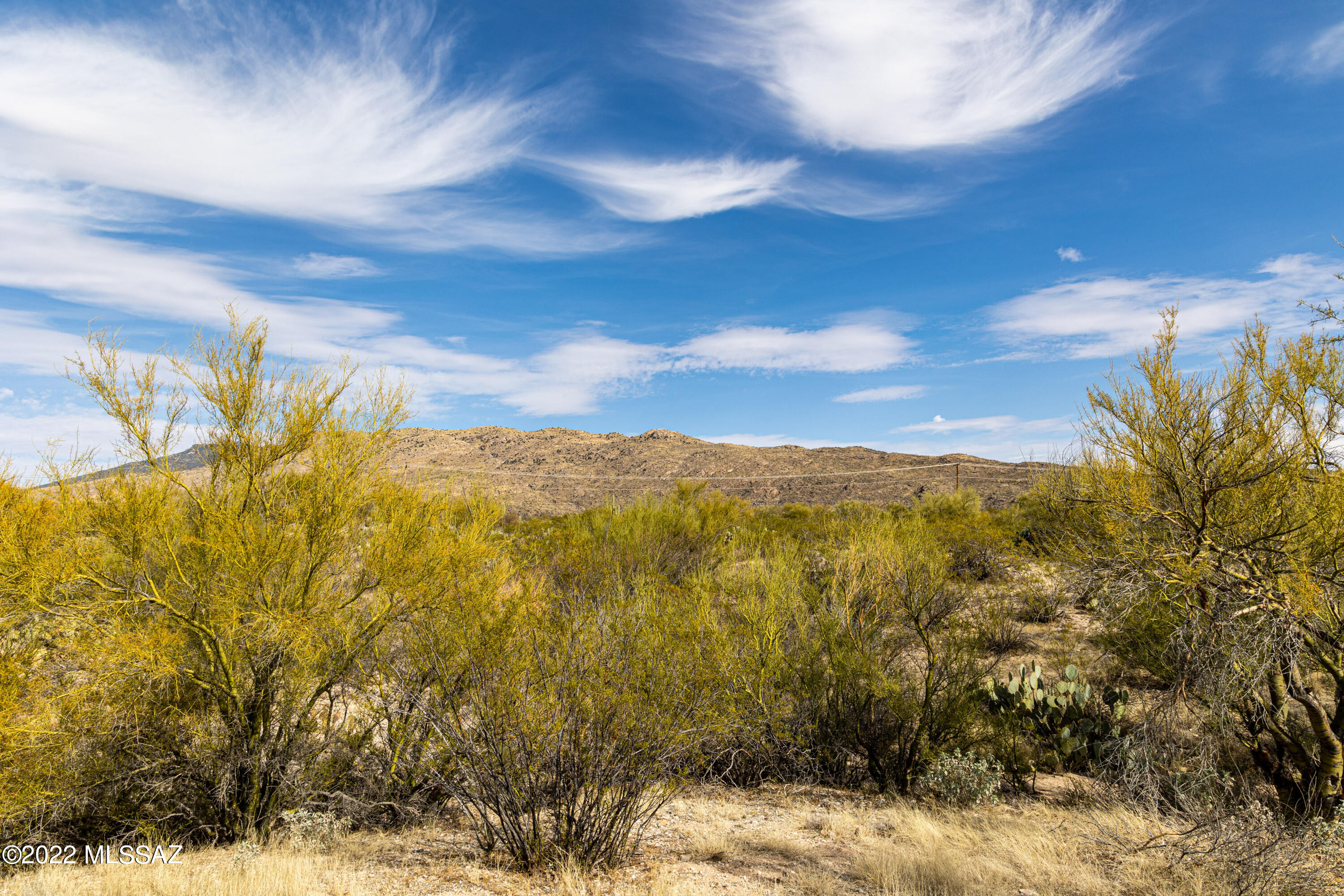 Saguaro Monument Estates - Land