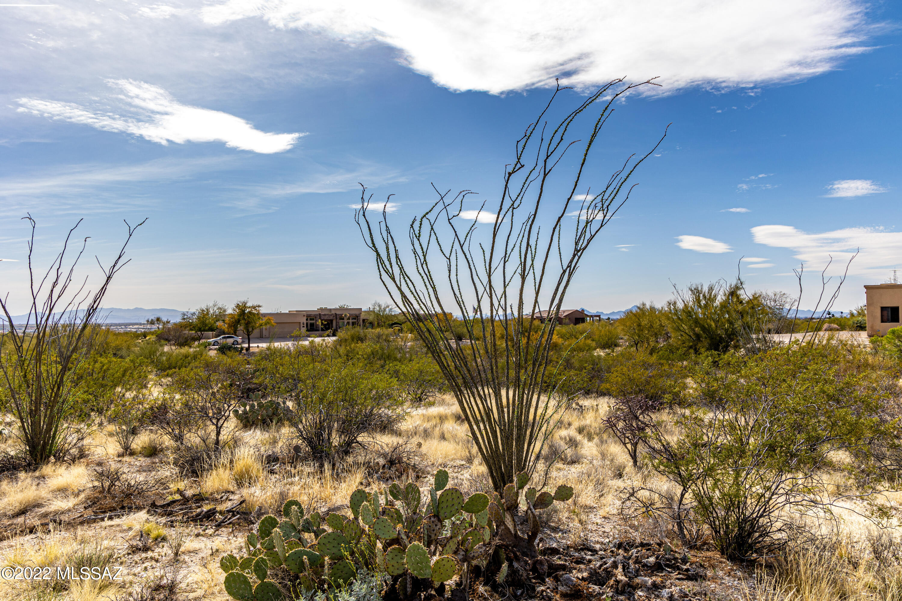 Saguaro Monument Estates - Land