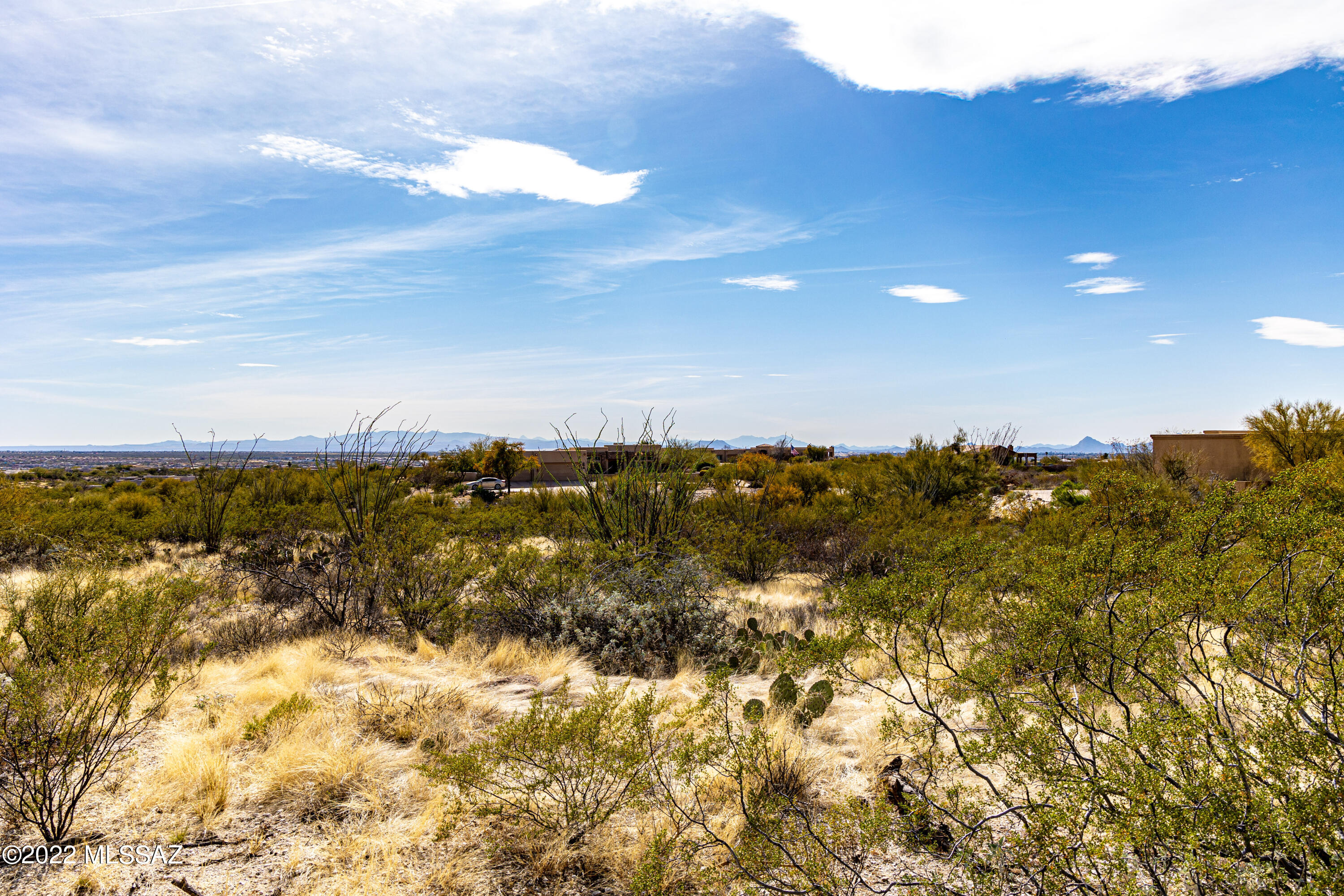 Saguaro Monument Estates - Land