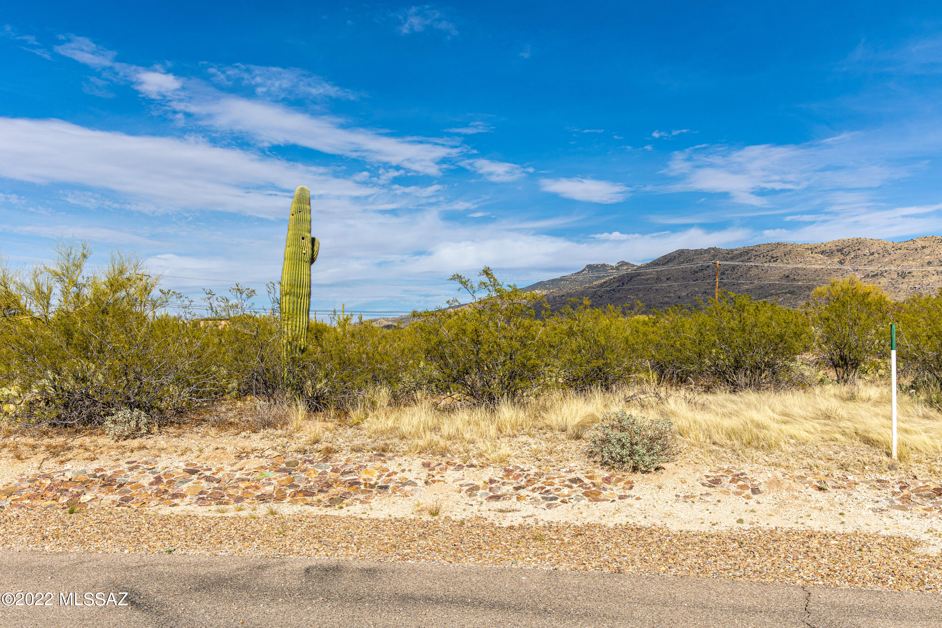 Saguaro Monument Estates - Land